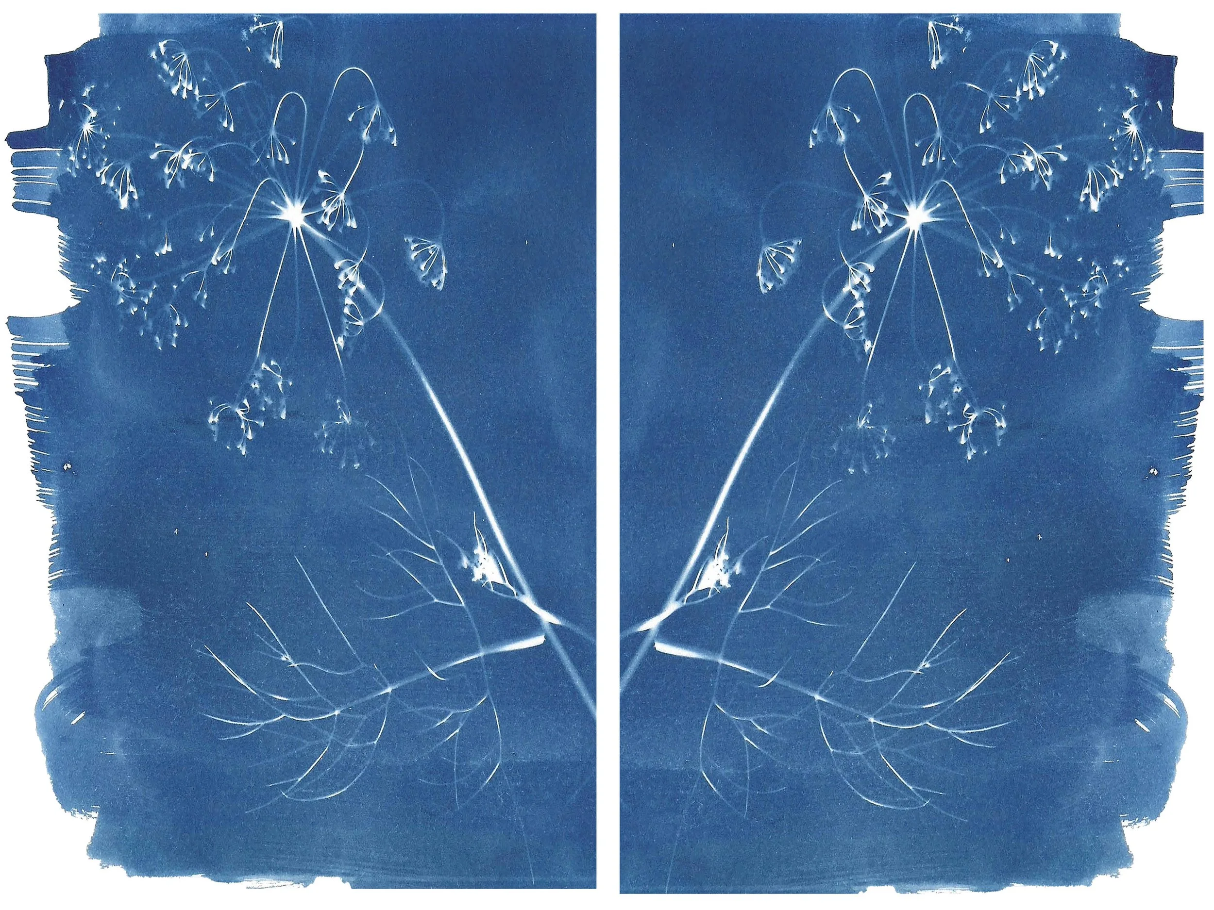 Sunbunt - Ninth House - website spread 2.15.2626.jpg