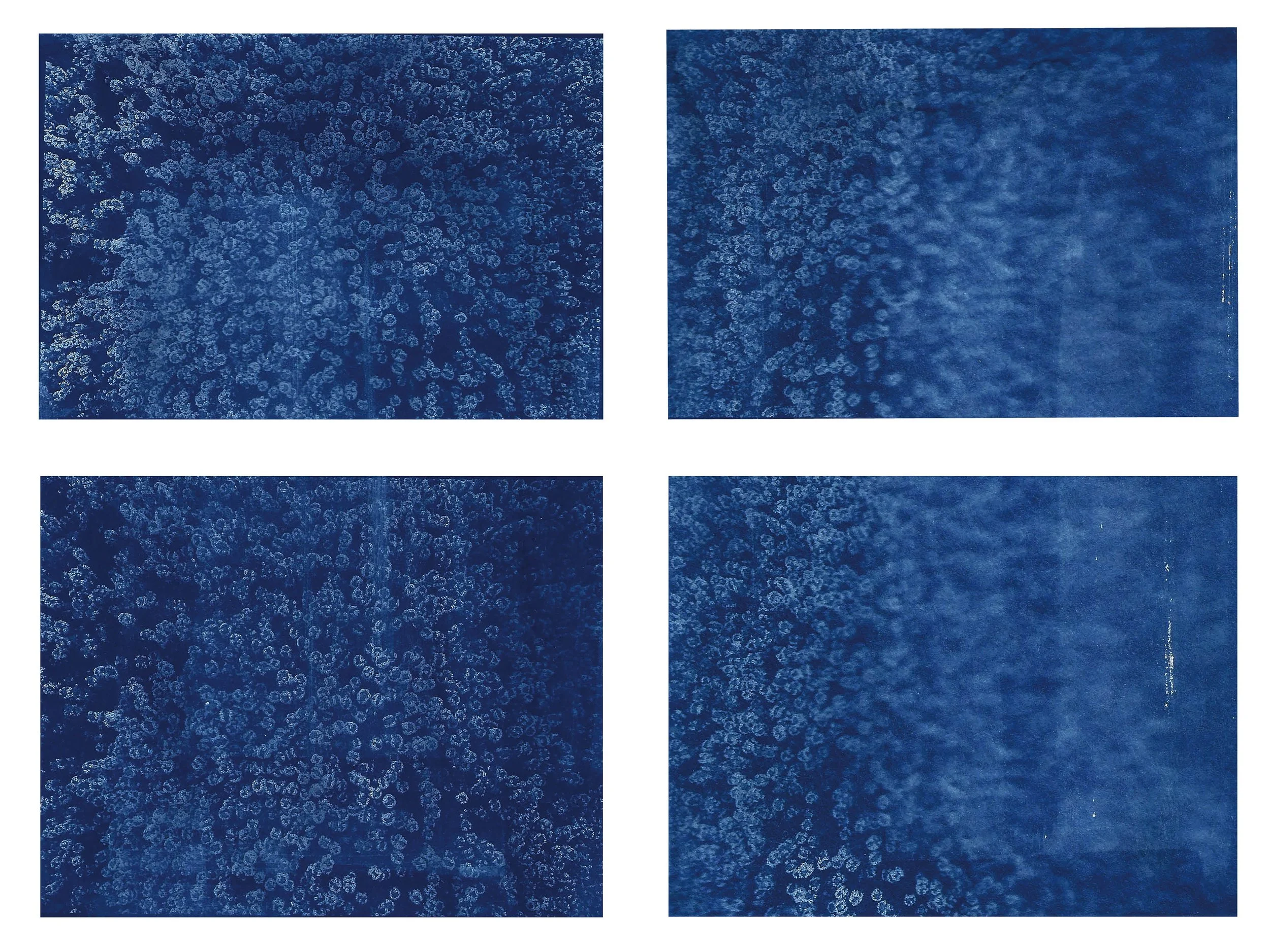 Sunbunt - Ninth House - website spread 2.15.2620.jpg