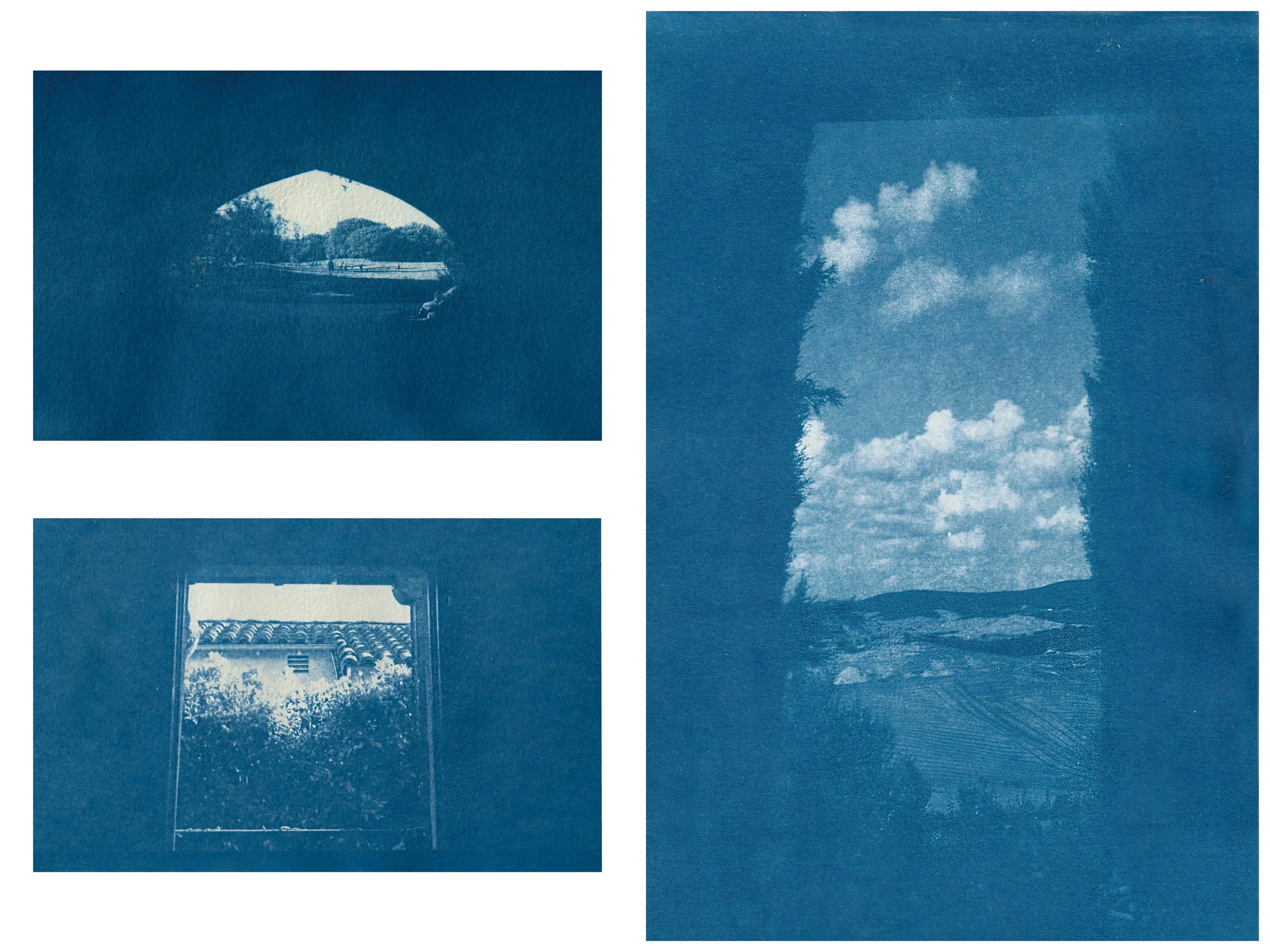 Sunbunt - Ninth House - website spread 2.15.2614.jpg