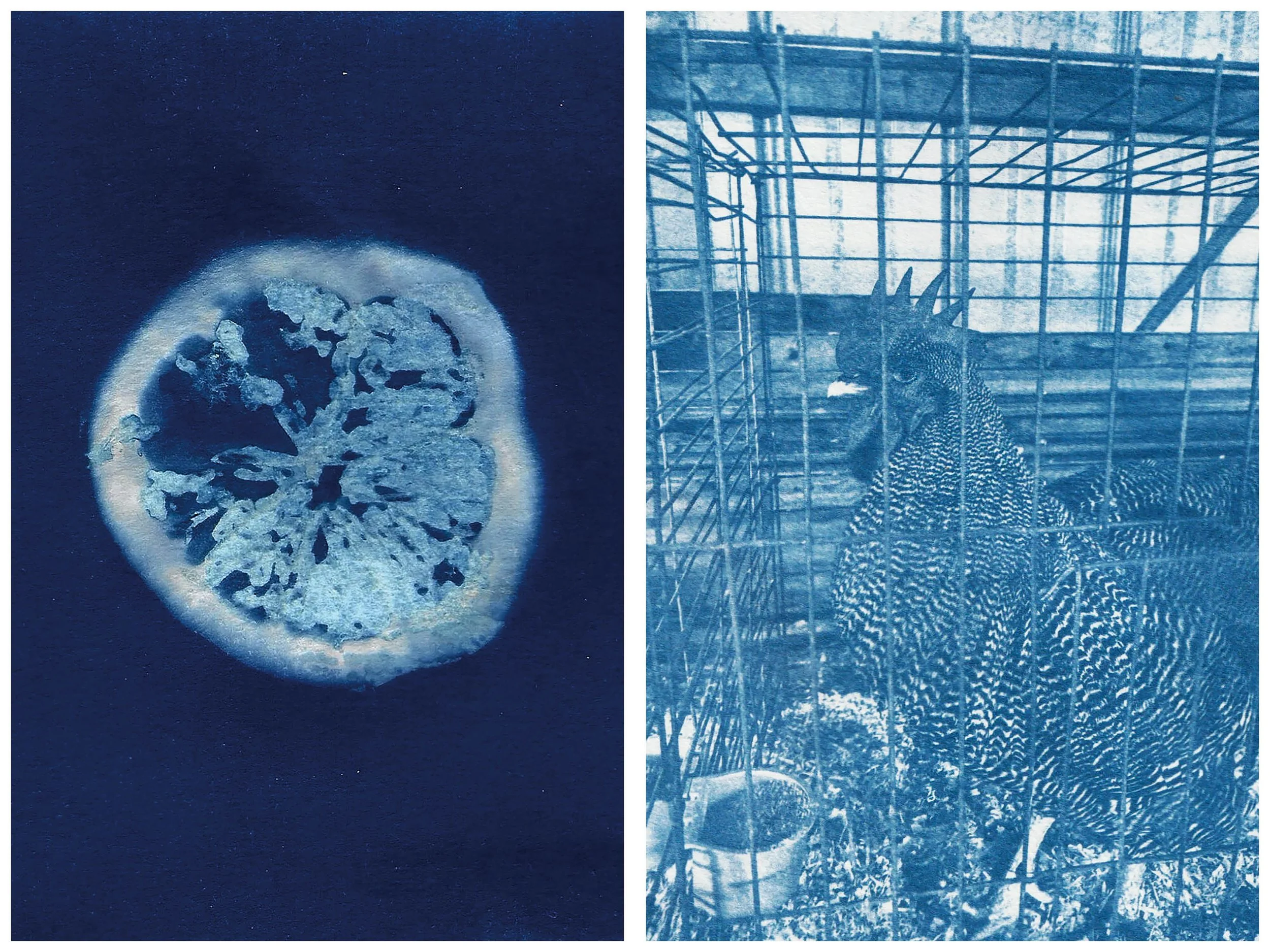 Sunbunt - Ninth House - website spread 2.15.2612.jpg