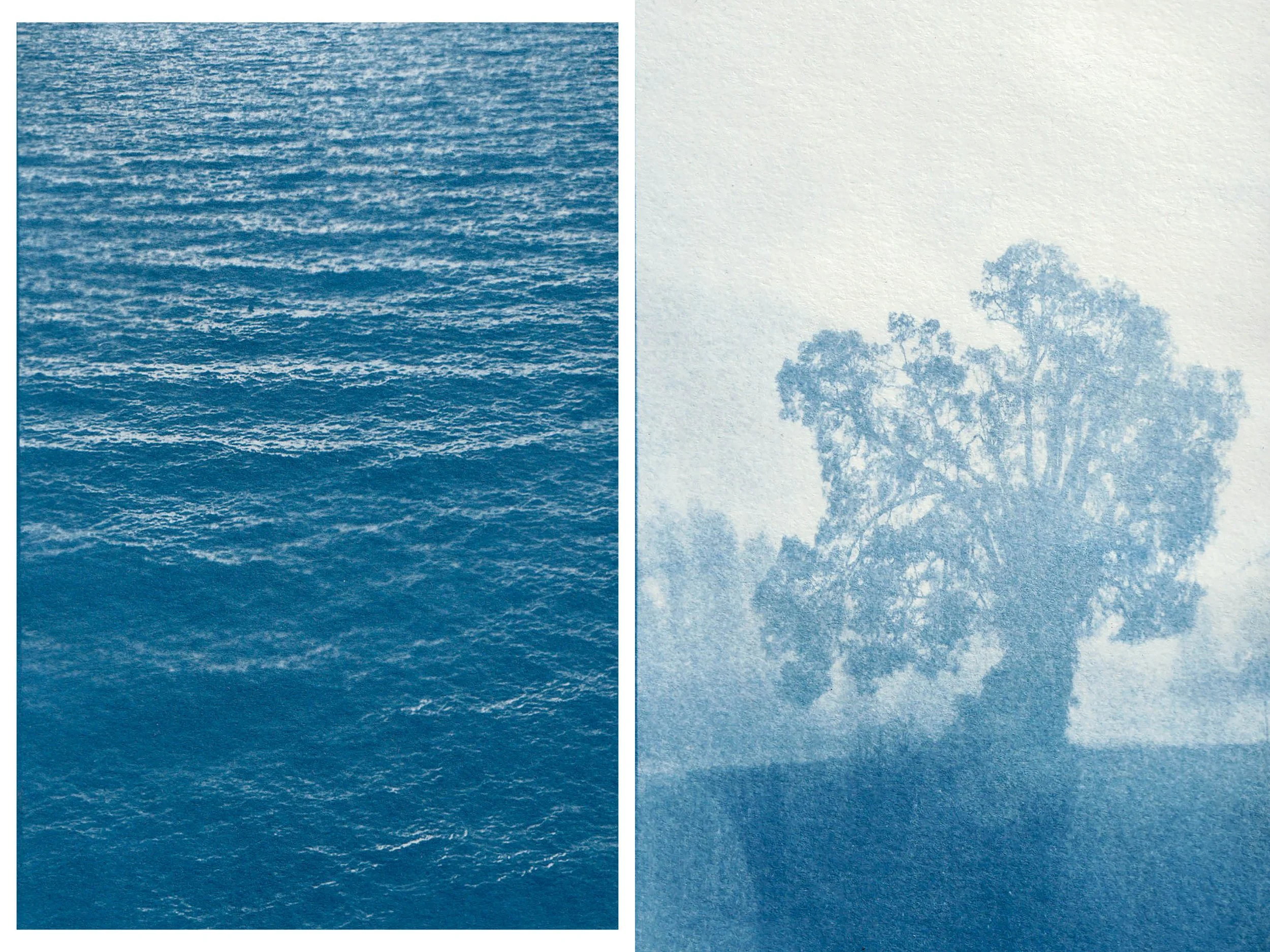 Sunbunt - Ninth House - website spread 2.15.265.jpg