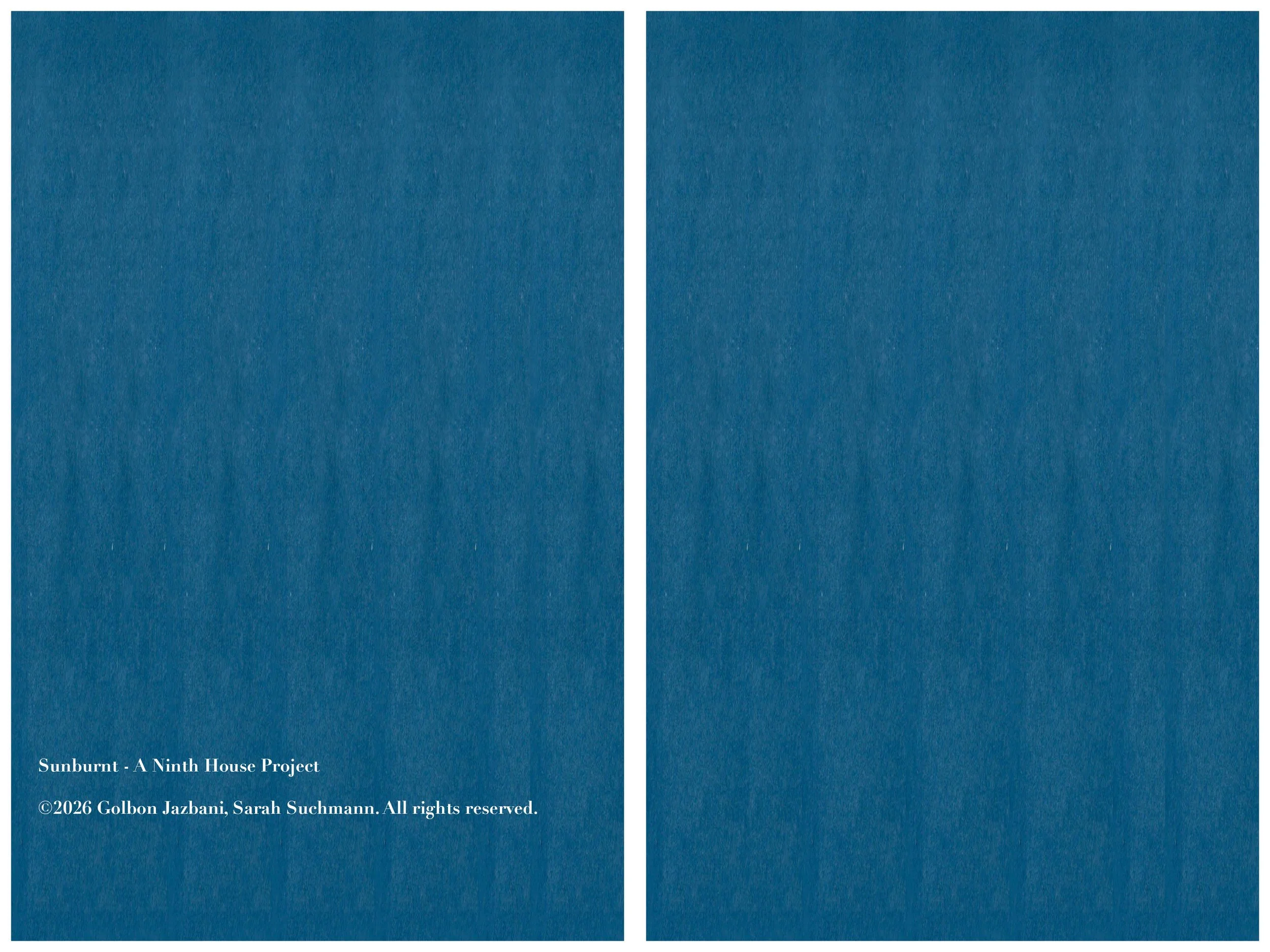 Sunbunt - Ninth House - website spread 2.15.2628.jpg