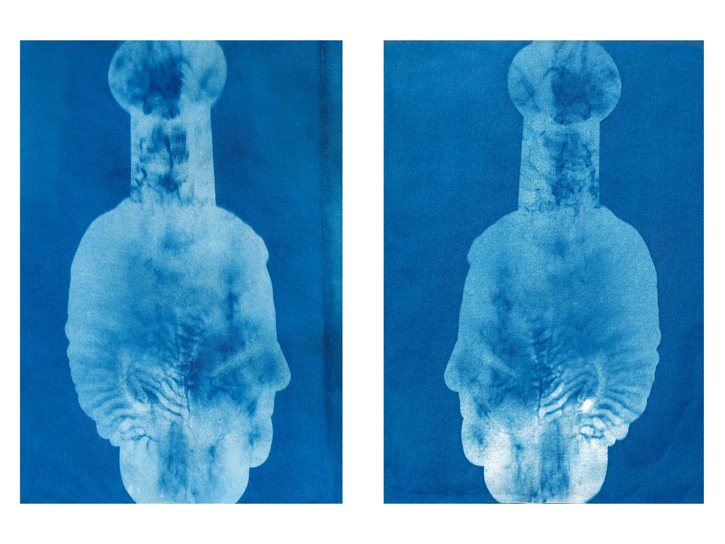 Sunbunt - Ninth House - website spread 2.15.267.jpg