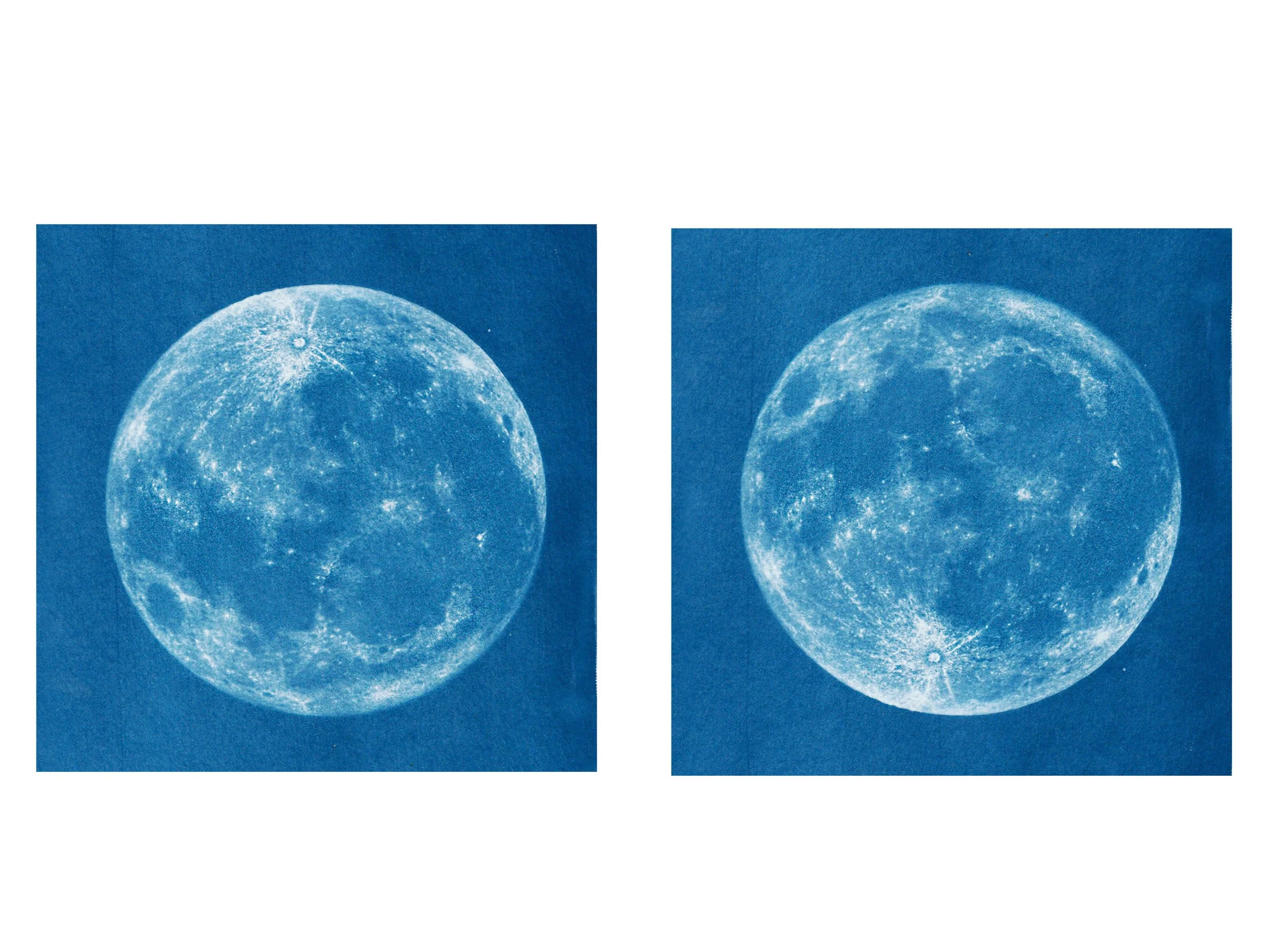 Sunbunt - Ninth House - website spread 2.15.2627.jpg