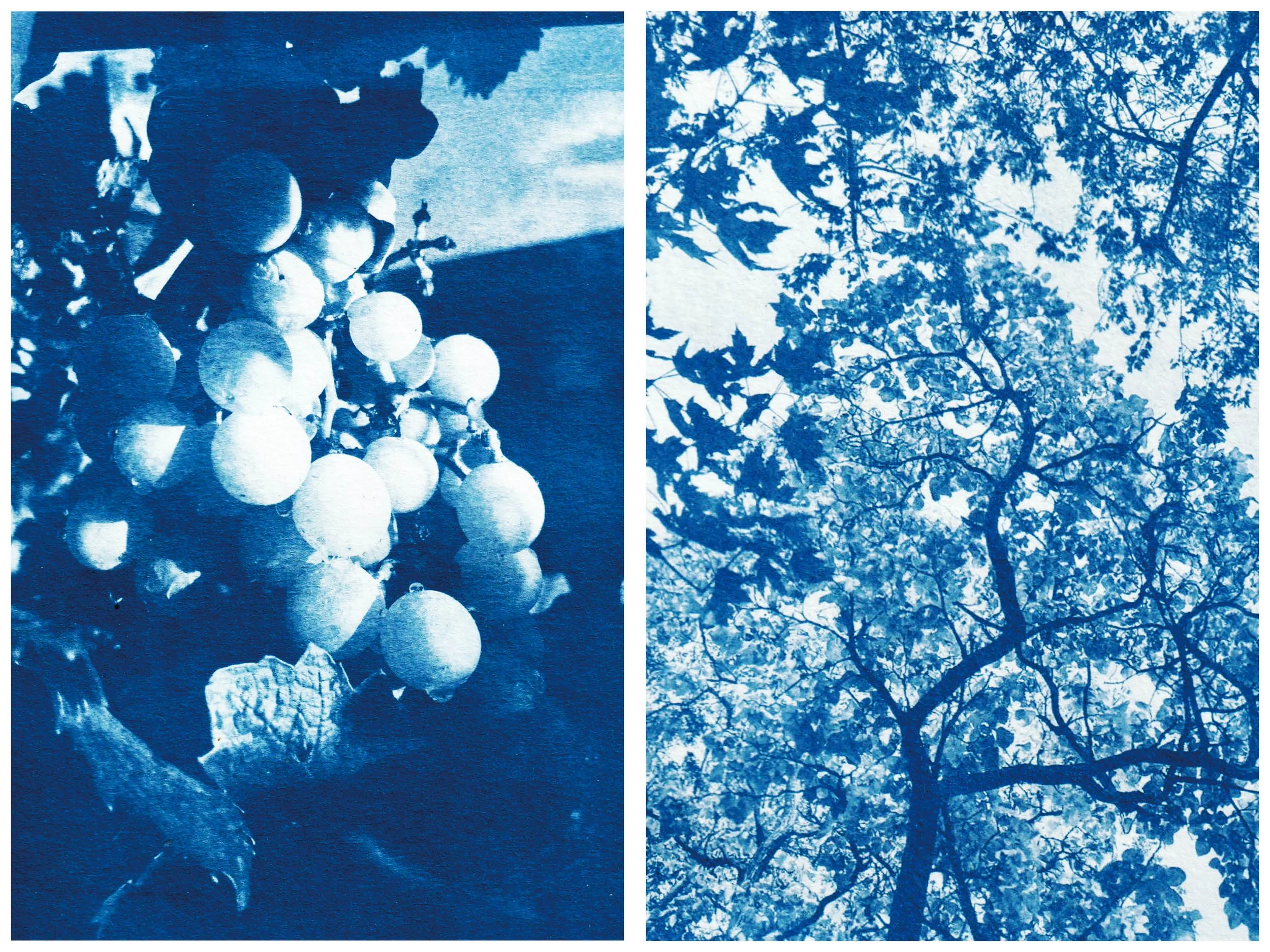 Sunbunt - Ninth House - website spread 2.15.2618.jpg