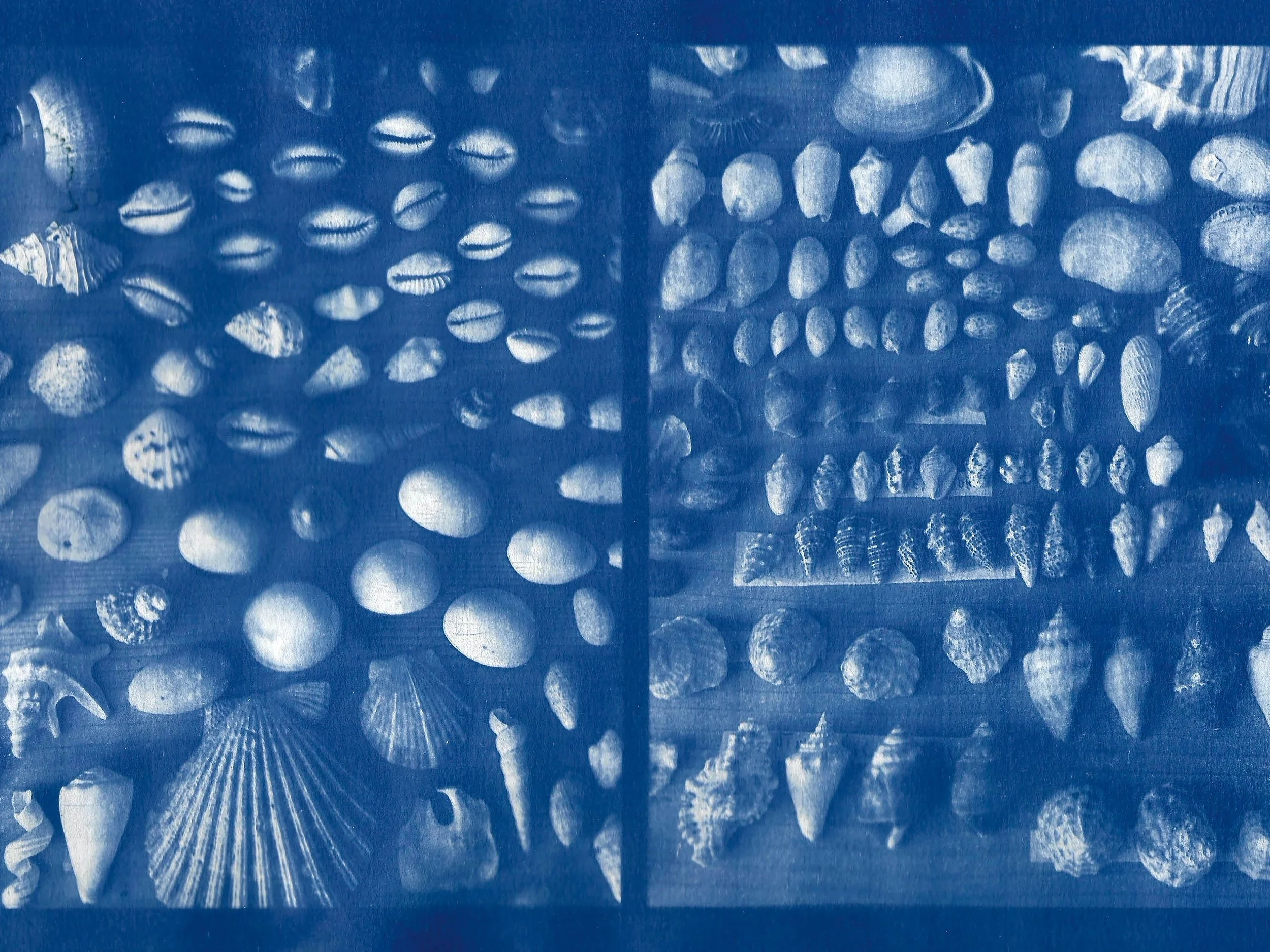 Sunbunt - Ninth House - website spread 2.15.2611.jpg