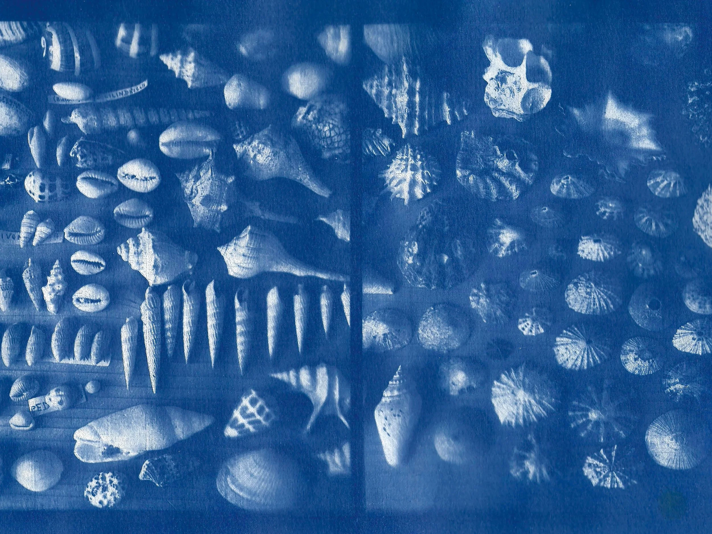 Sunbunt - Ninth House - website spread 2.15.269.jpg