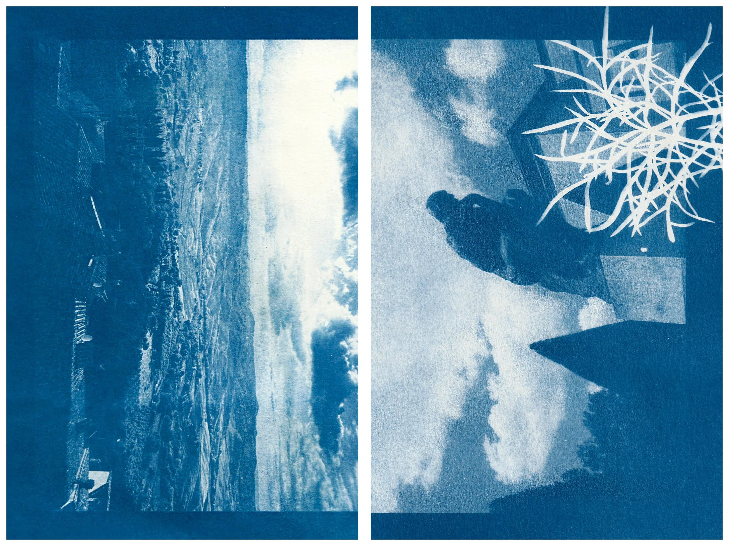 Sunbunt - Ninth House - website spread 2.15.2621.jpg