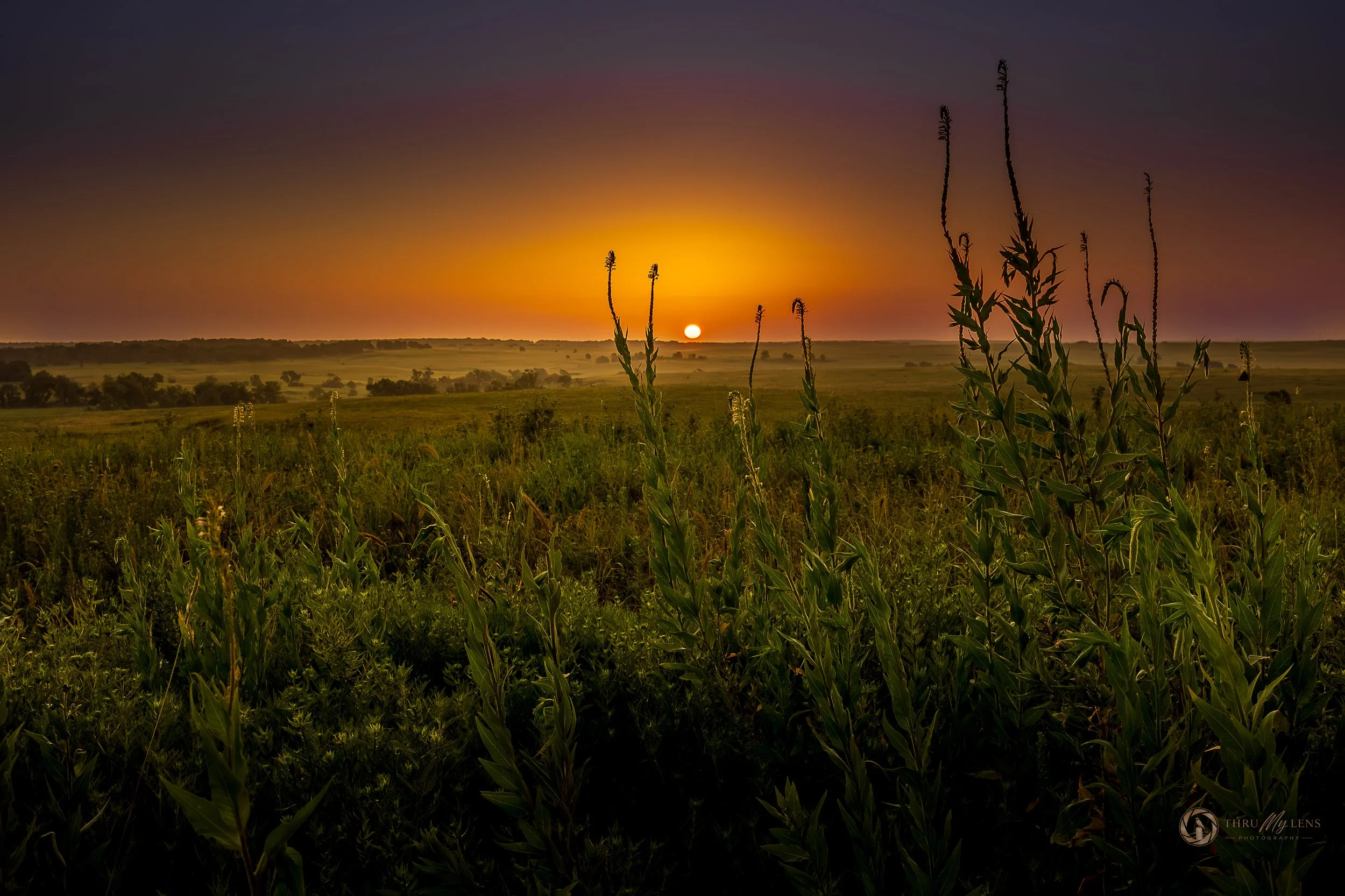 Sunrise's Quiet Promise