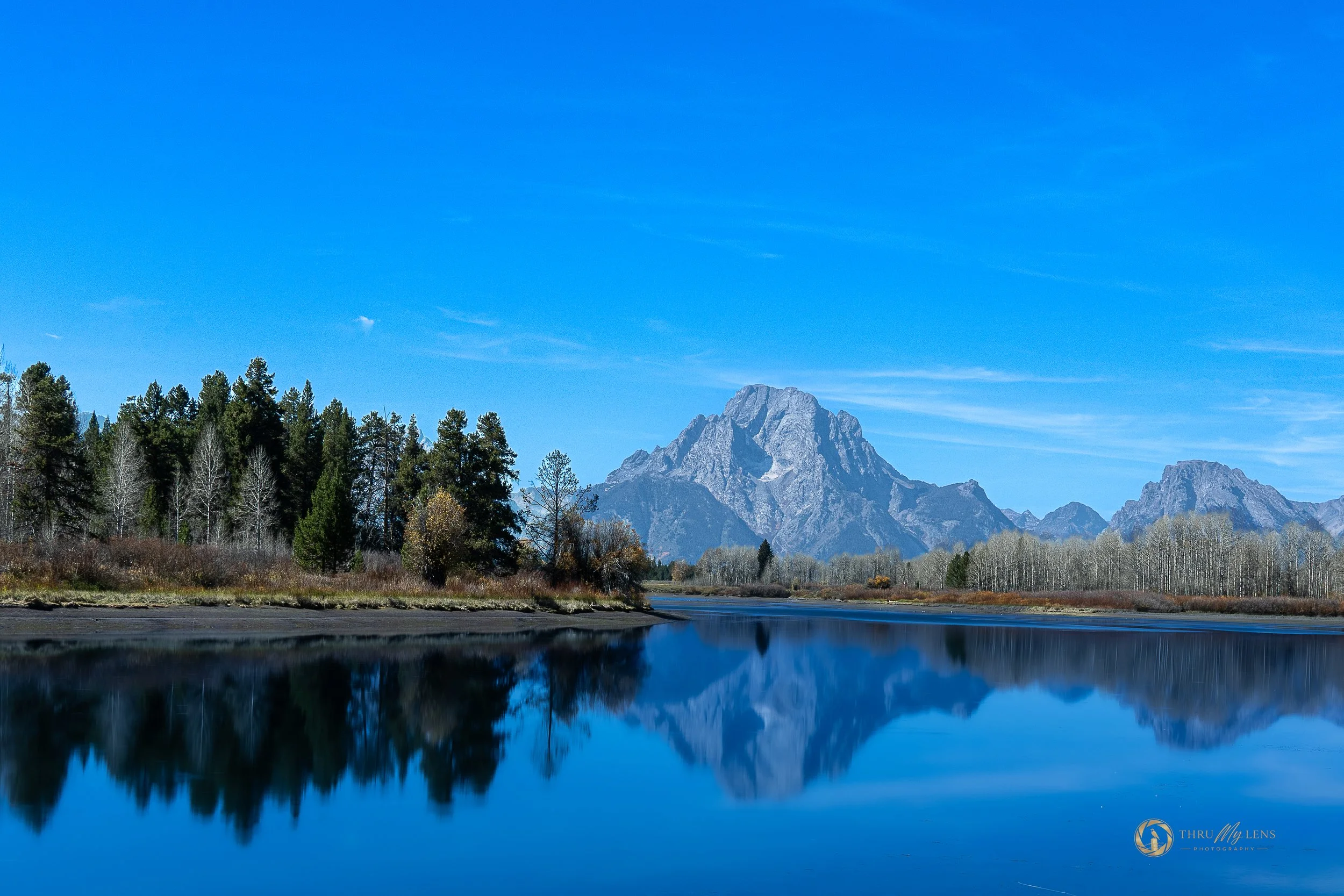 Cold Reflections