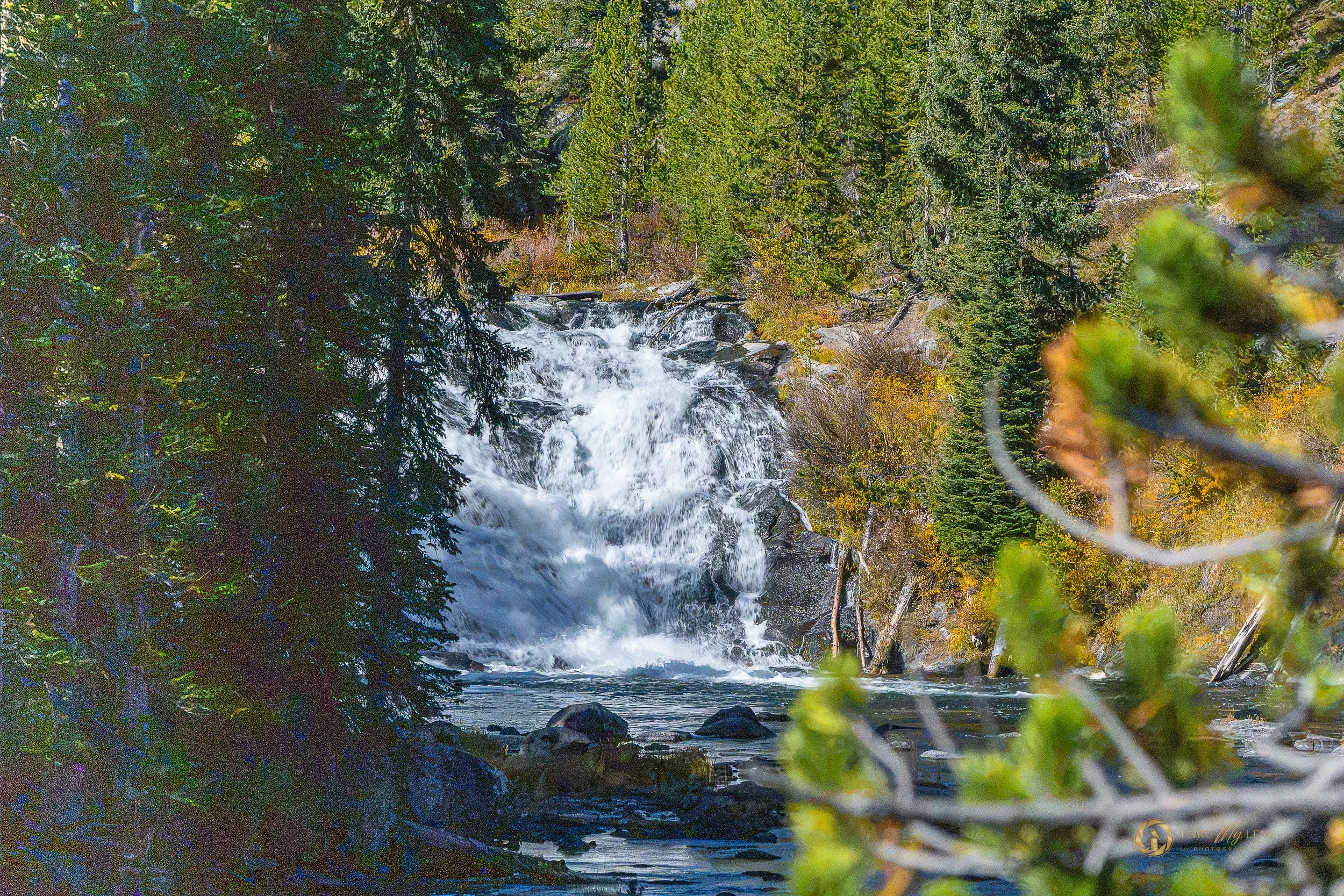 Lewis Falls at Yellowstone