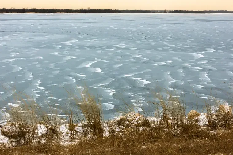 Frozen lake with ice patterns, dry grass along the shoreline, and a distant treeline at sunset.