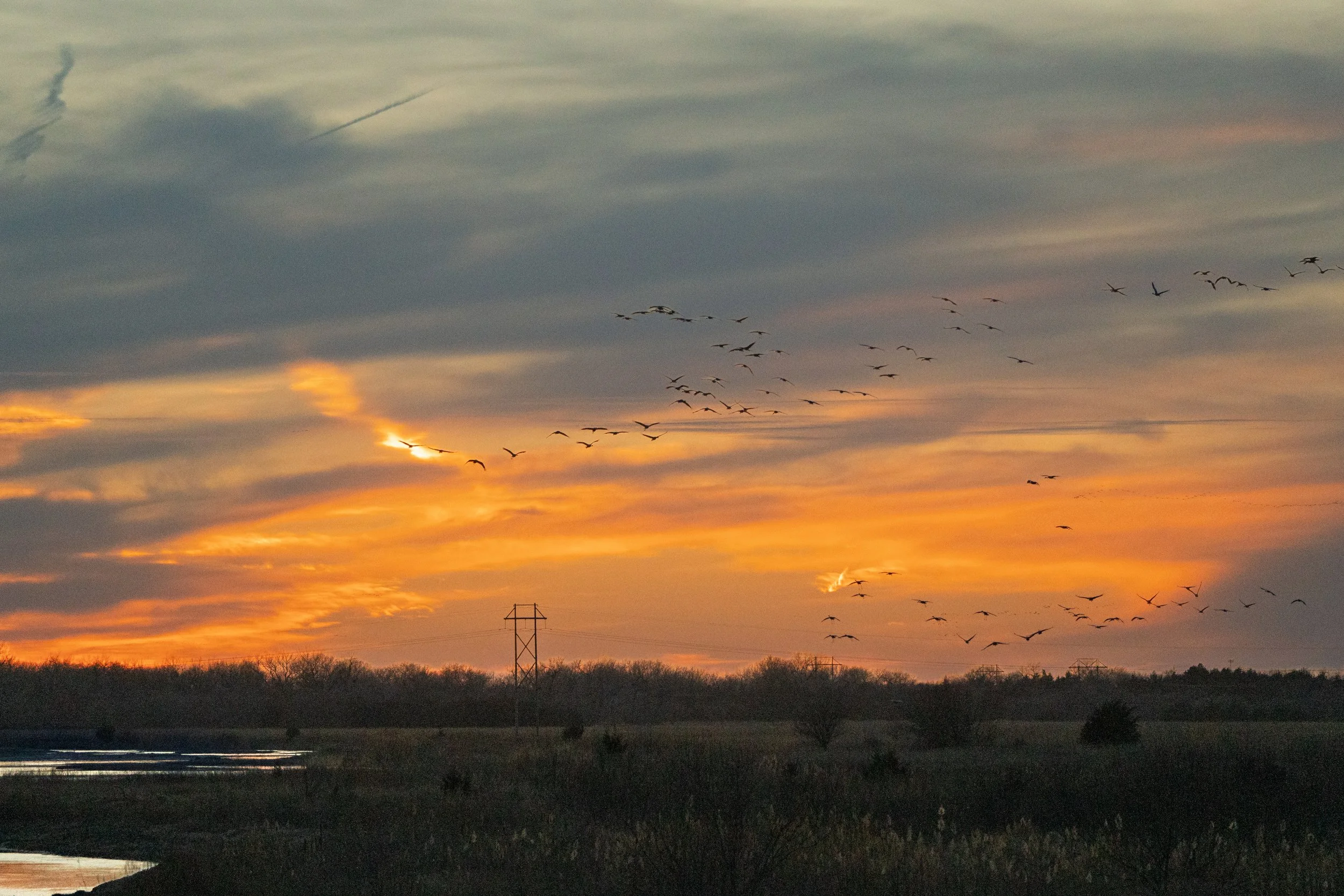 Nebraska Sunset with Sandhill Cranes
