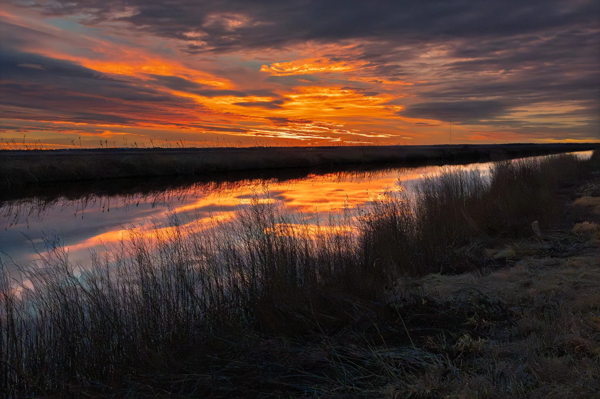Sunset magic. Taken at Cheyenne Bottoms Wildlife Preserve, Kansas.