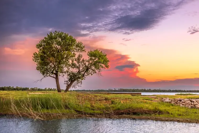 A peaceful landscape with a river in the foreground, a grassy field, a prominent tree, and a colorful sunset sky with clouds.
