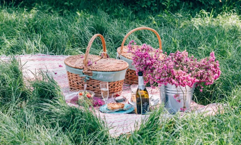 Romantic proposal picnic setup in Rome park, perfect engagement idea in Rome