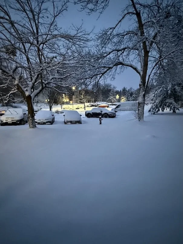 Mirror of Consequences