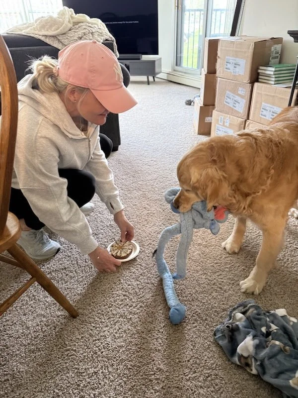 Get a Dog