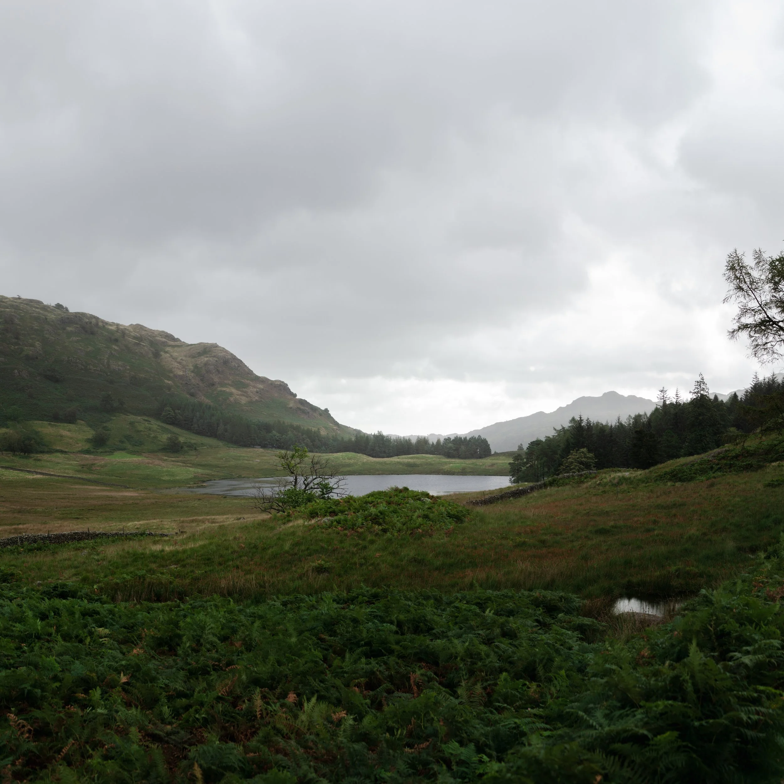 swimtreklakesandtarns-201909-5.jpg