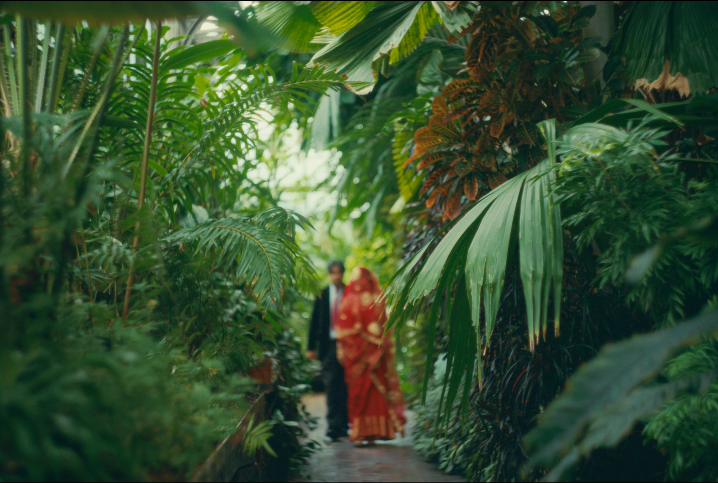 A couple walking along a path surrounded by lush green tropical plants, with the woman wearing a red traditional dress and the man in a dark suit.