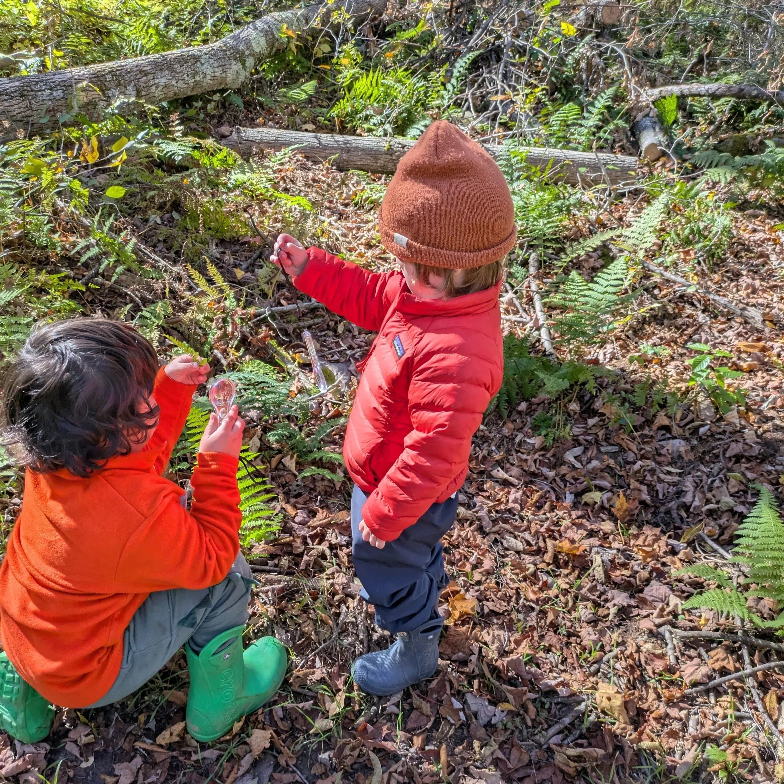 image shows two children in brightly colored jackets in the forest with brown fallen leaves on the ground. One child kneels examining a stick with a magnifying glass while the other stands holding up a magnifying glass.