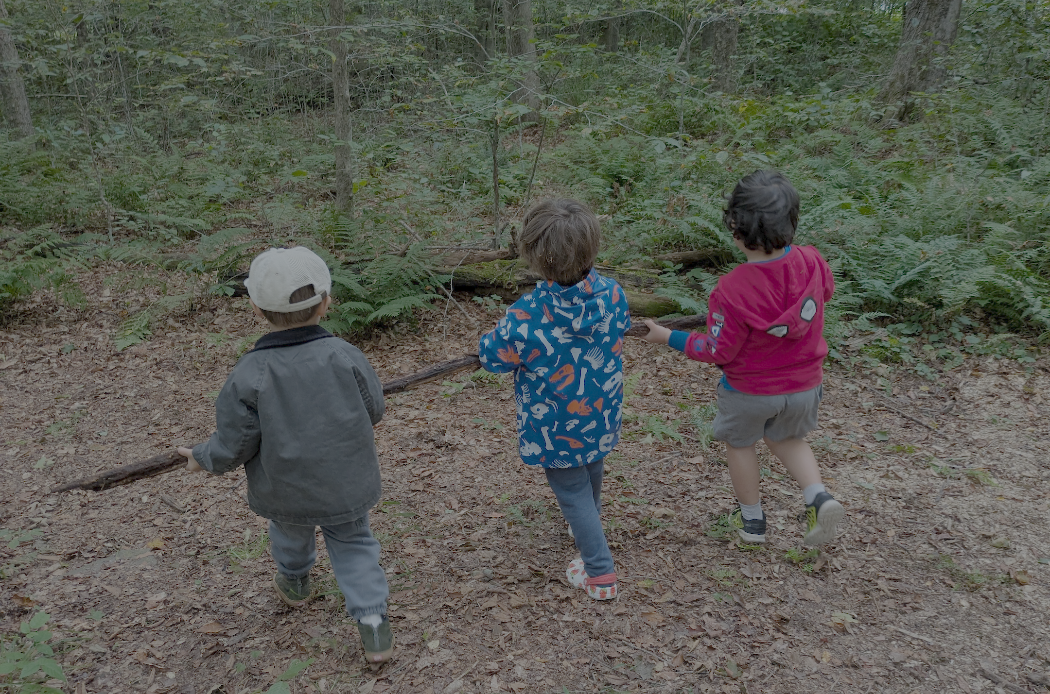 image shows three children holding onto a long stick or tree branch and carrying through the forest with green ferns in the background.