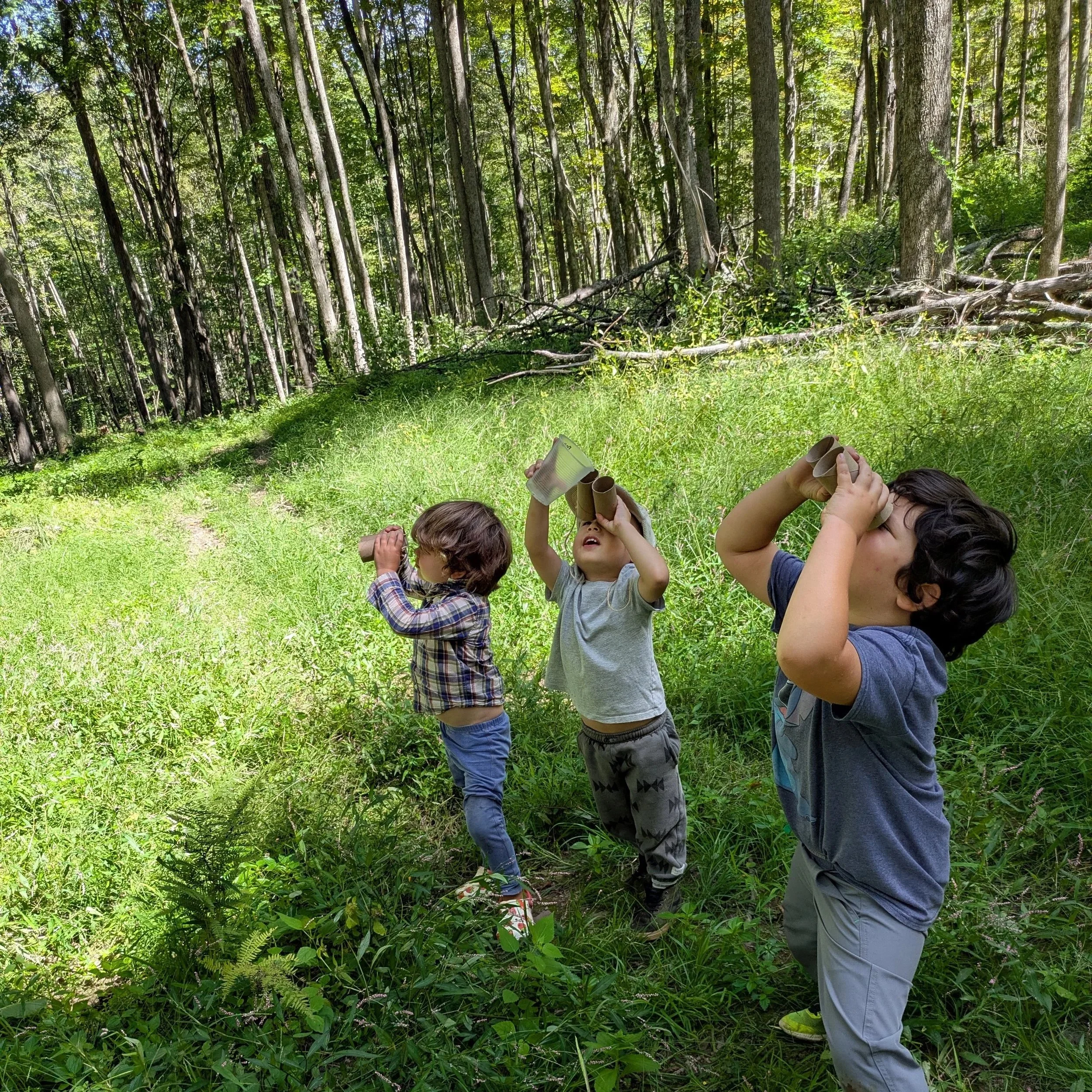 Image shows three children standing in a sunny forest clearing holding homemade "binoculars" made from cardboard tubes and looking into the forest canopy.