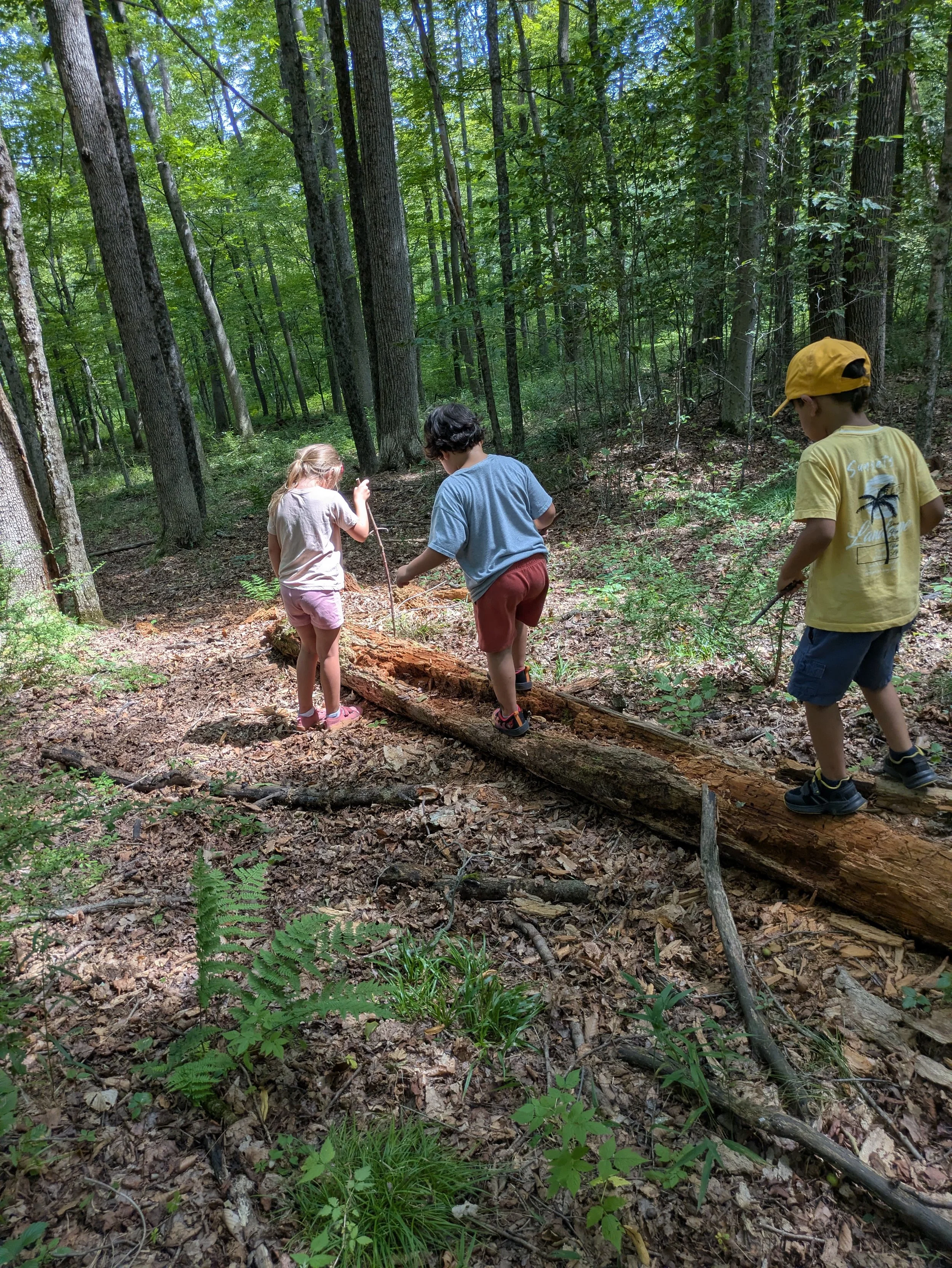 walking on a log.jpg