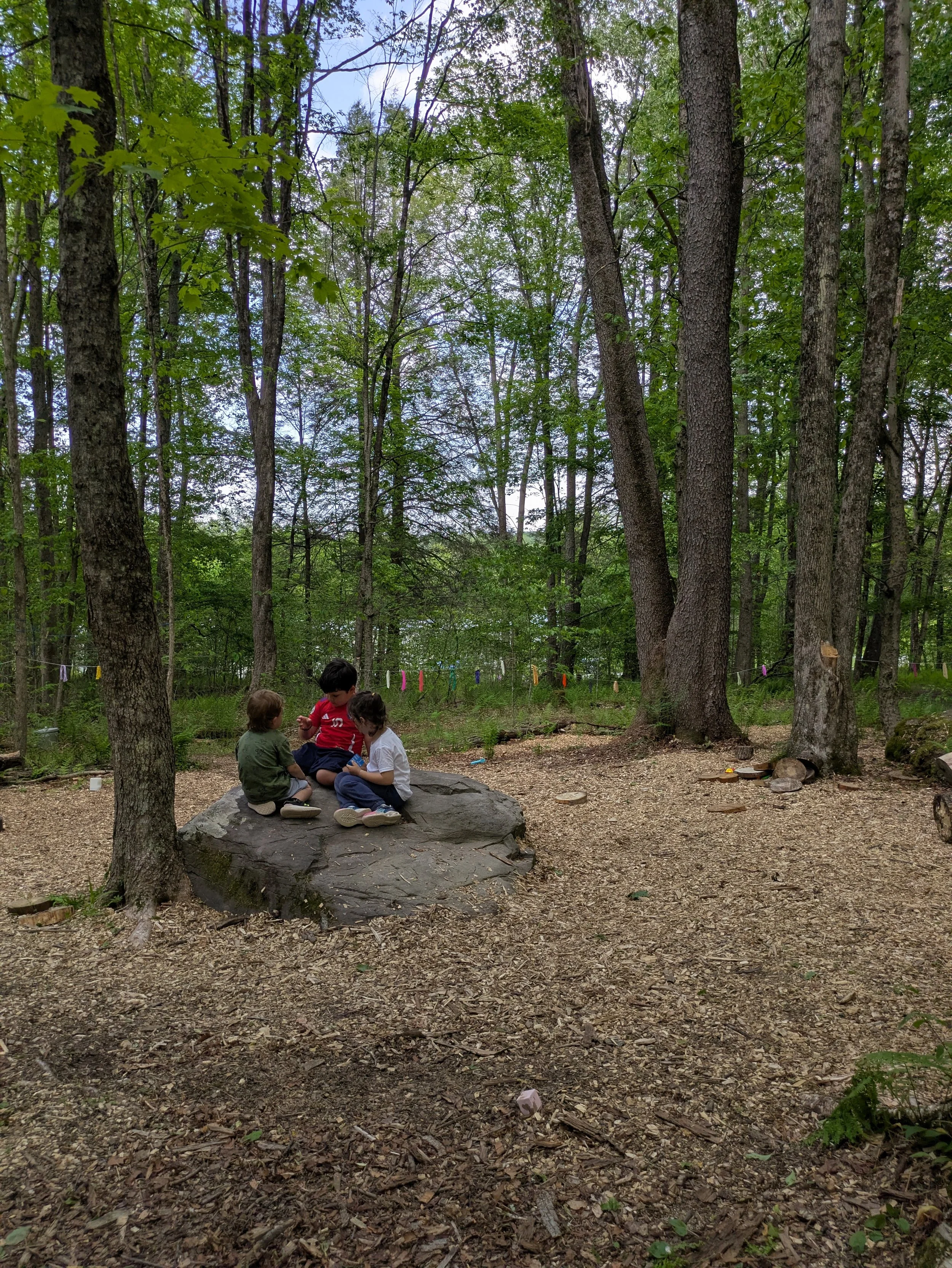 forestclassroom.jpg