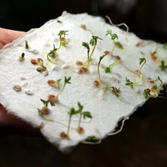 natureza 2.jpg