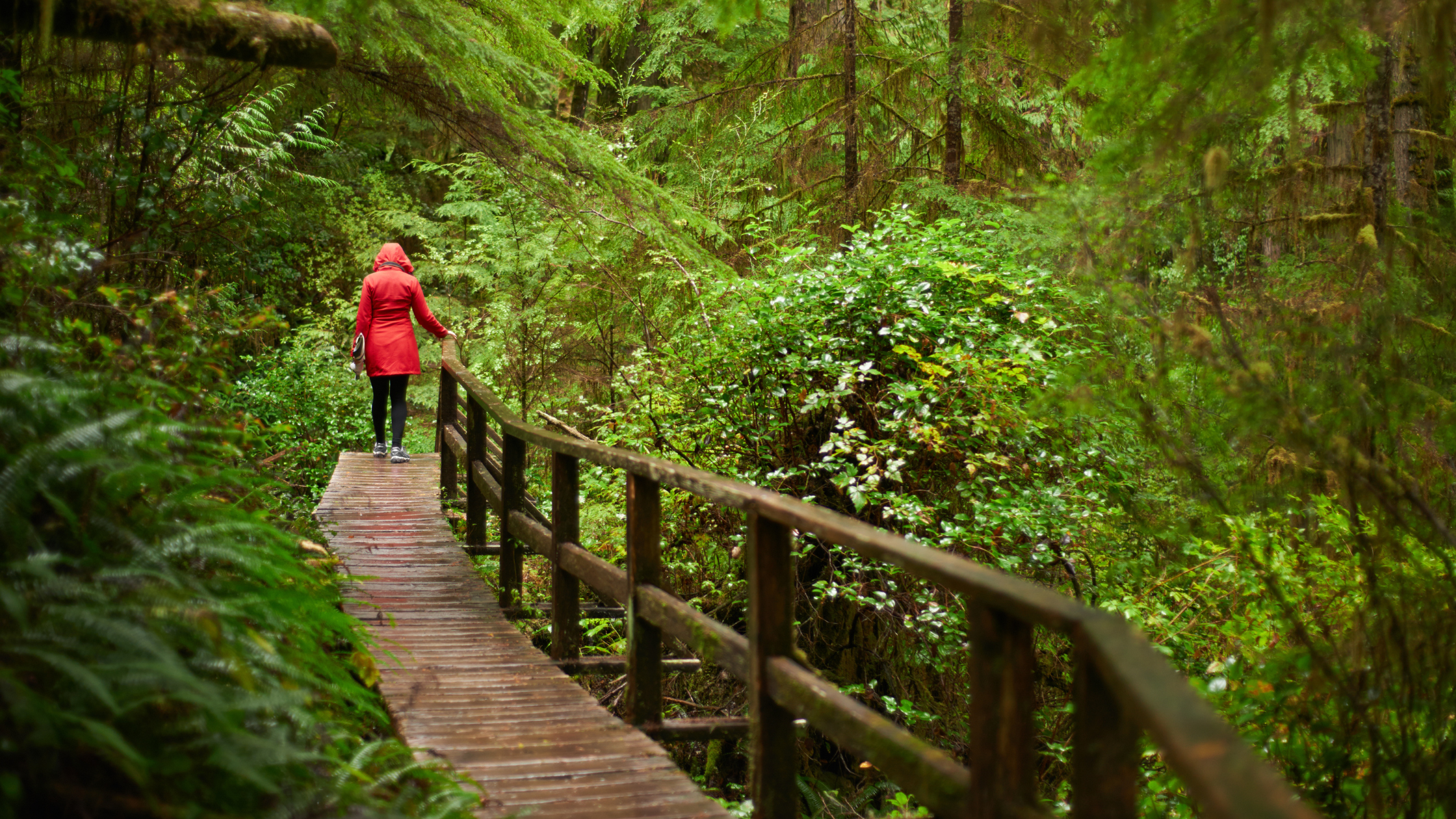 Walk and Talk Counselling in Exmouth: A Grounded Approach to Therapy Outdoors