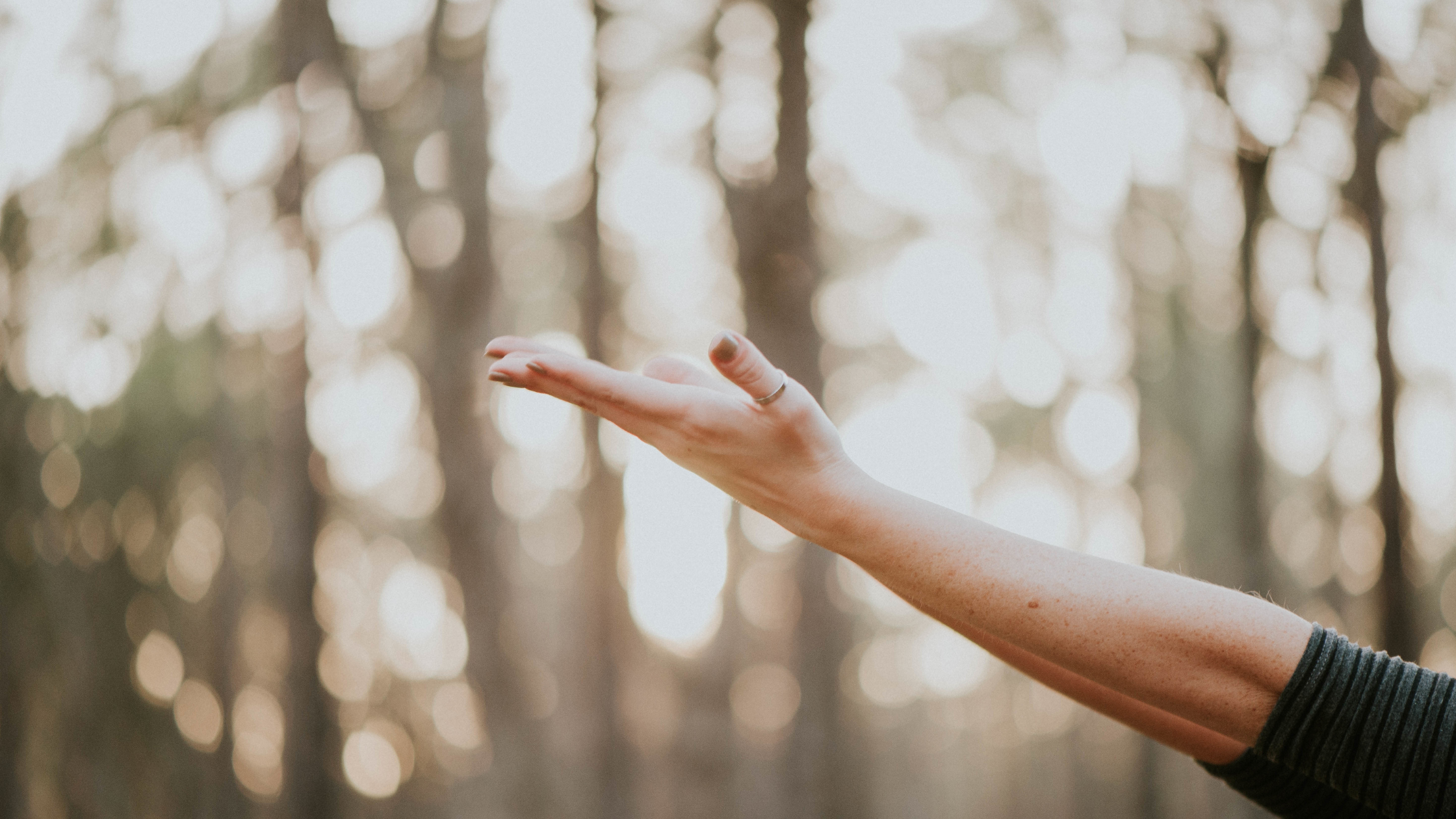 Someone is holding their arms reaches out from the right side of the photo in front of tree silhouettes