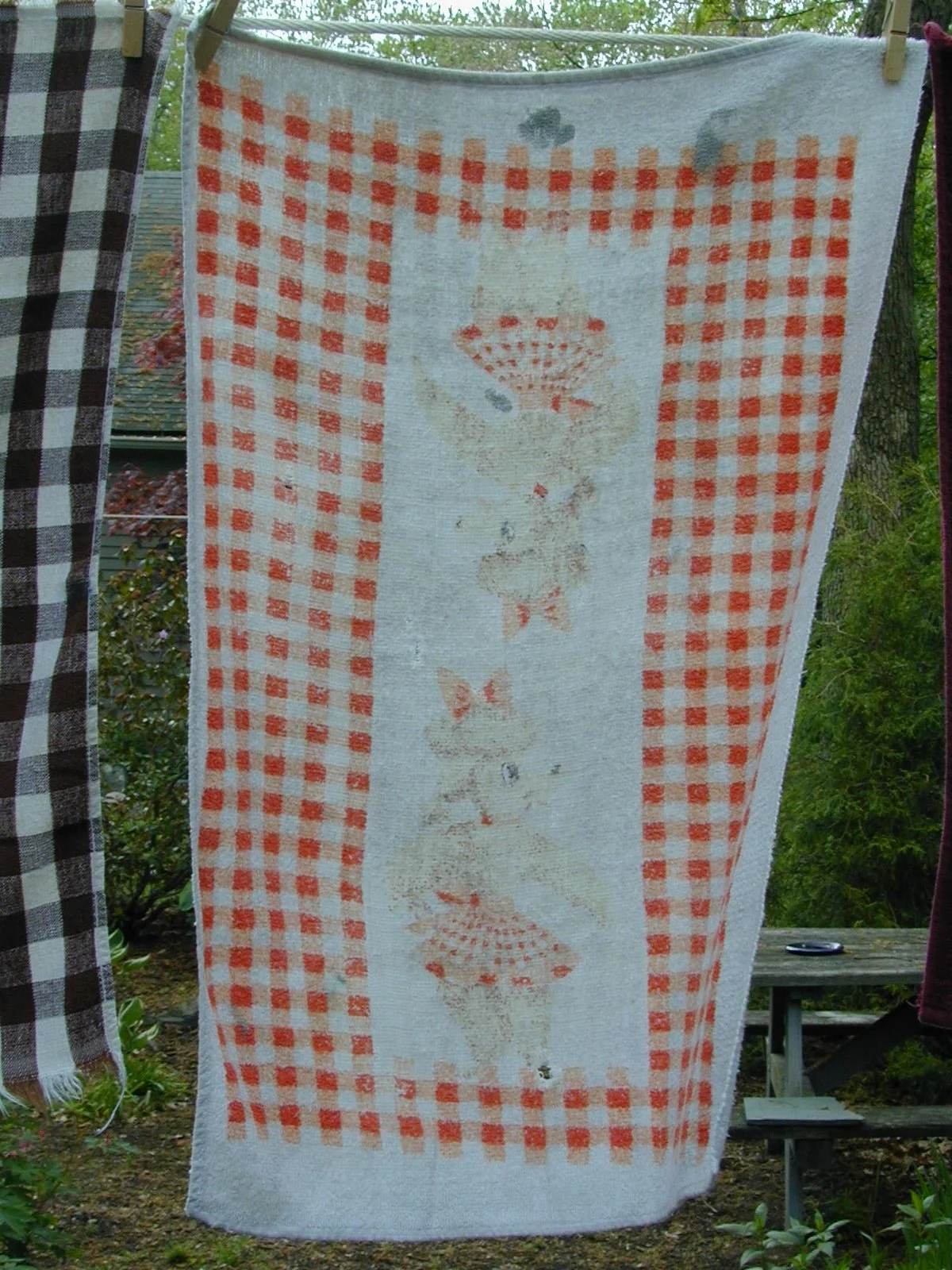 Delena Vicker's poodle towel.jpeg