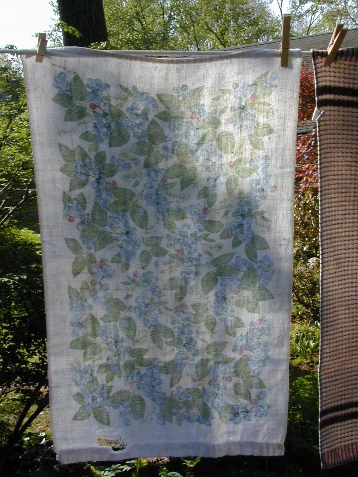 Gail Baker from Maine.jpeg