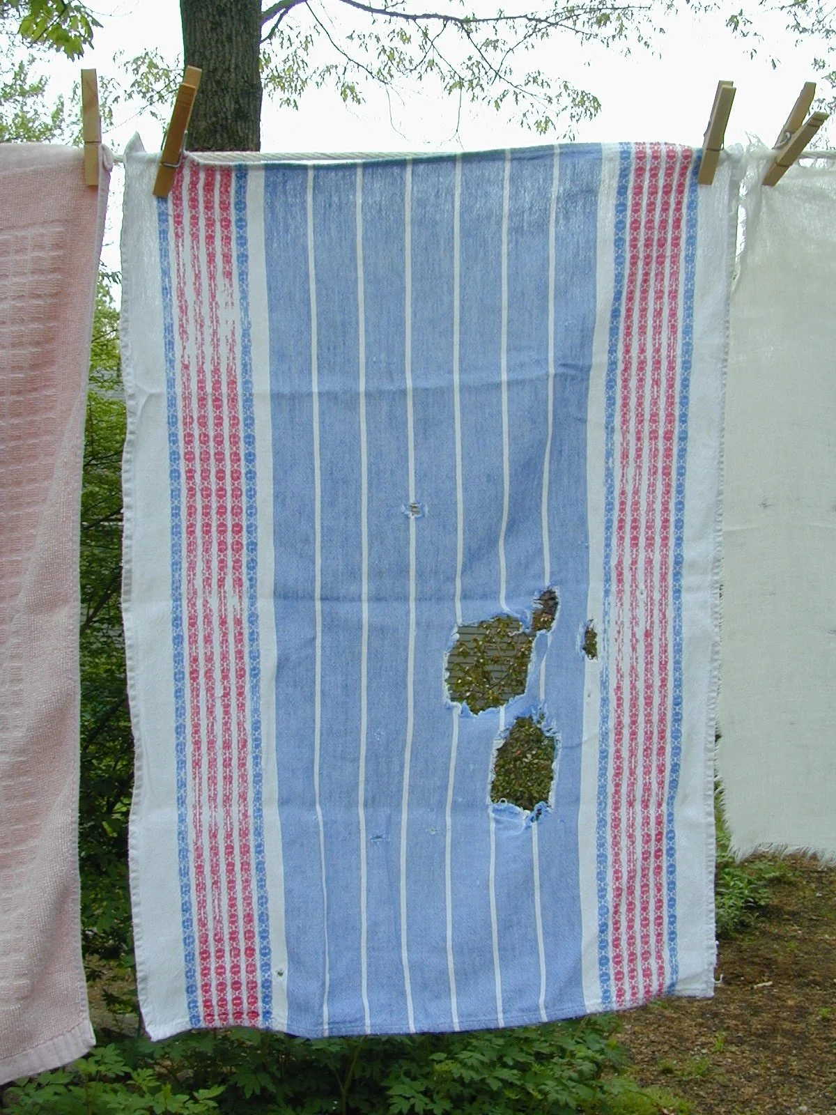 Susan Ockerse_french towel.jpeg