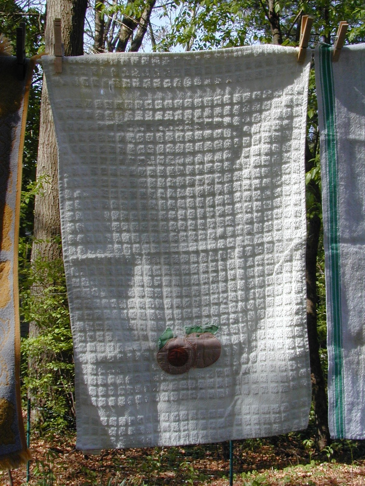 Maria_s mom_s full.jpeg