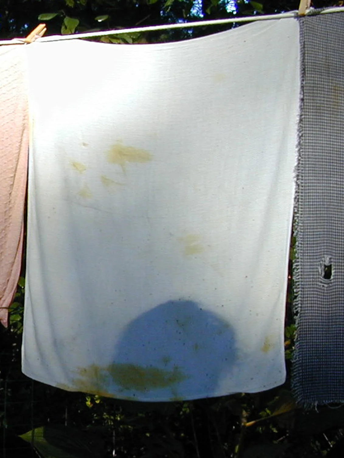 Anda_s towel_blob.jpg