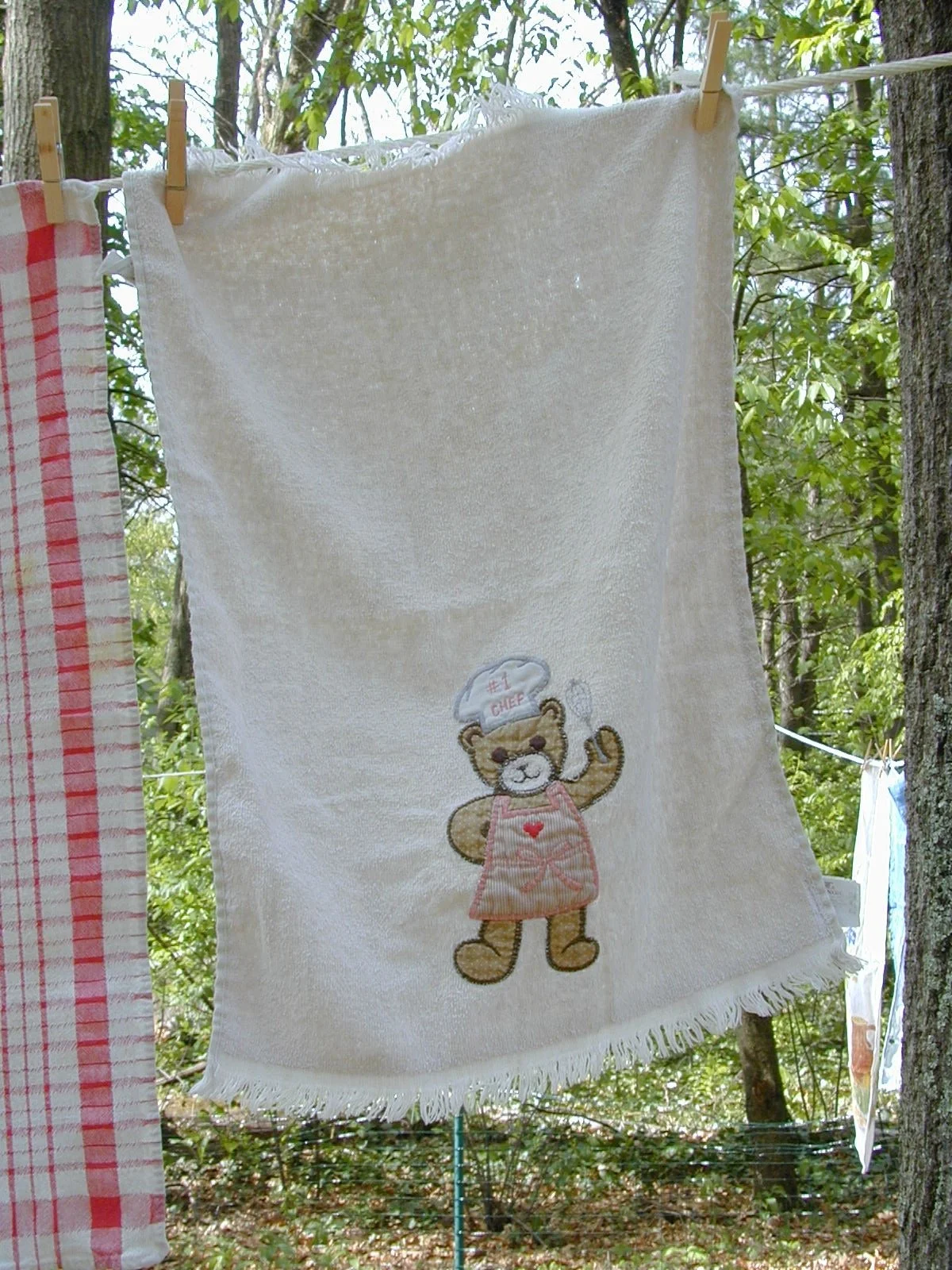 Karl_s friend_s mother_s towel.jpeg