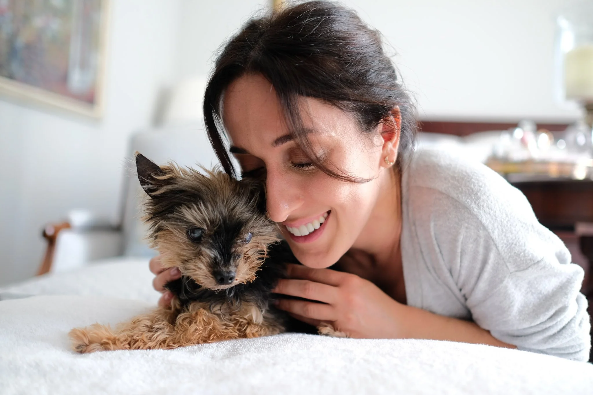 From People to Paws: My Journey into Canine Massage Therapy