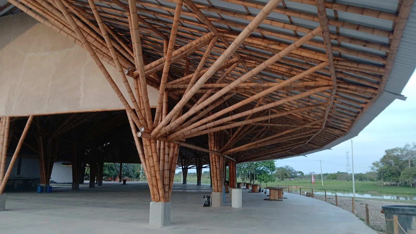 WhatsApp Image 2026-01-19 at 5.37.49 PM.jpeg