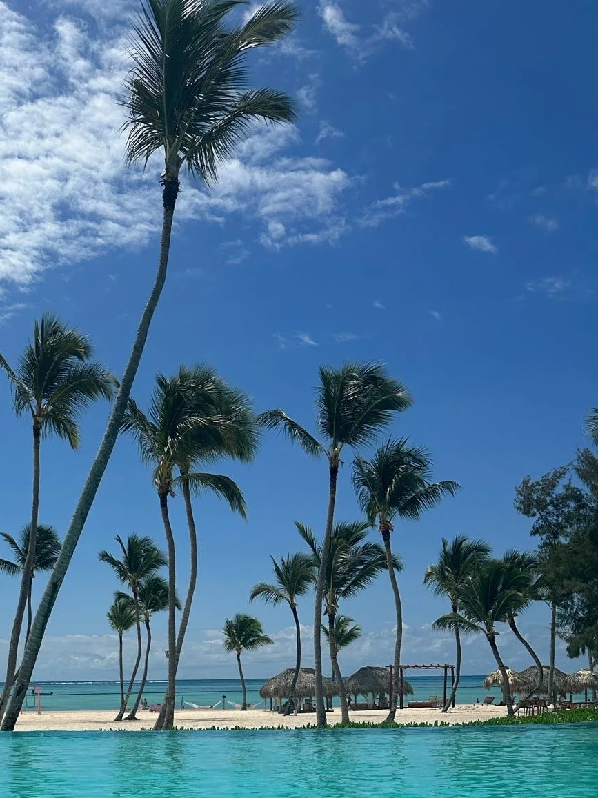 A tropical beach scene with tall palm trees, blue sky, and a calm ocean in the background. There are thatched umbrellas and a hammock near the shoreline, with a swimming pool in the foreground.