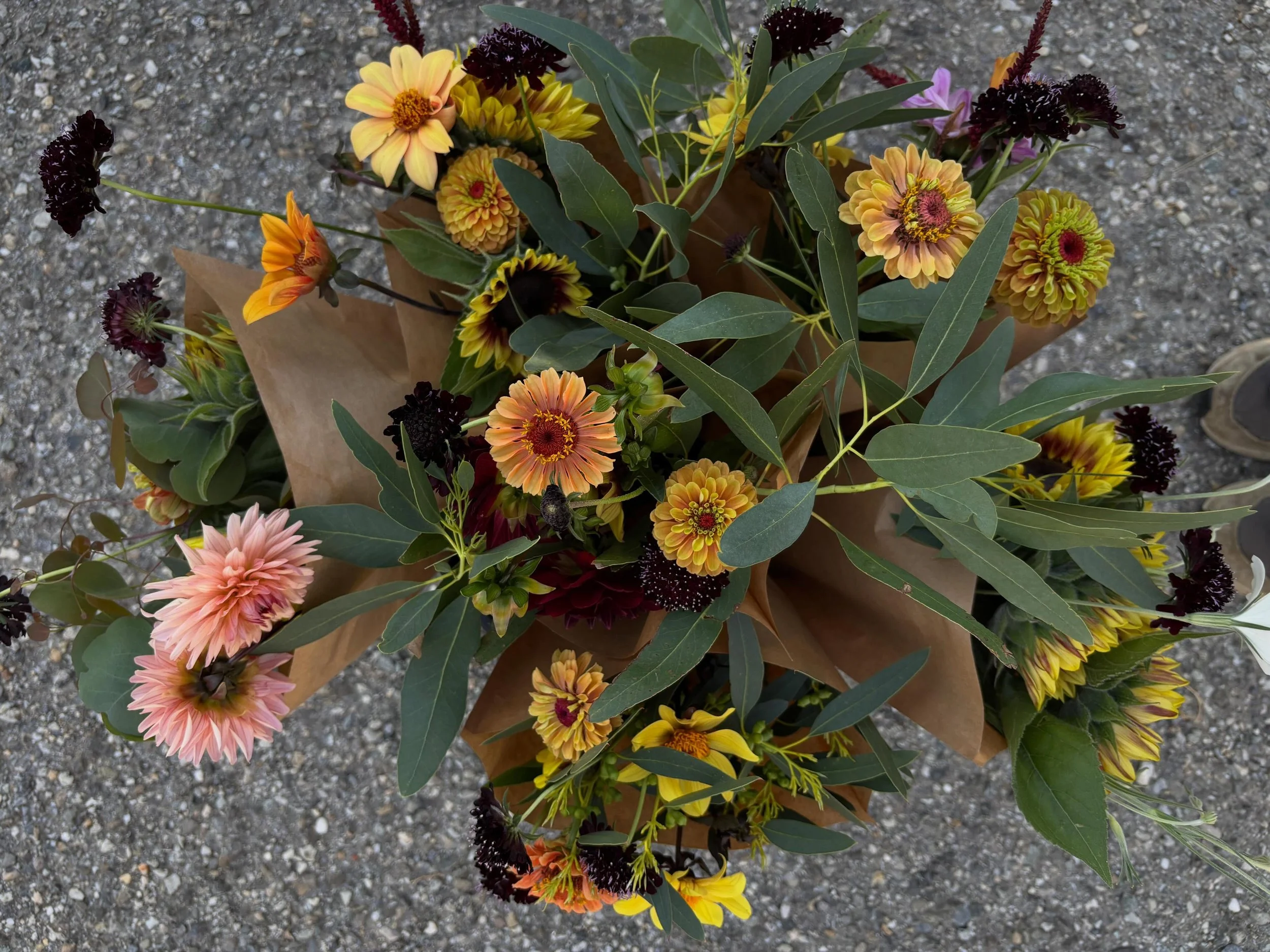 Doucement en mode automne dans nos bouquets et le jardin.

#fleurssuisses #autocueillettefleurs #slowflowers #myvaud
