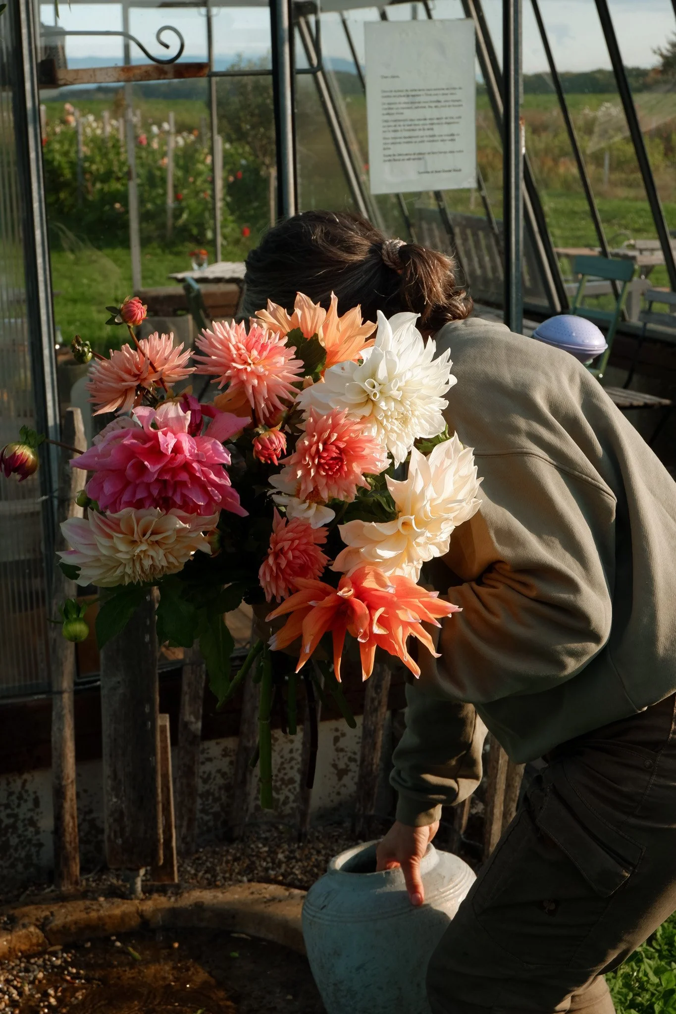 DSCF9258.jpg