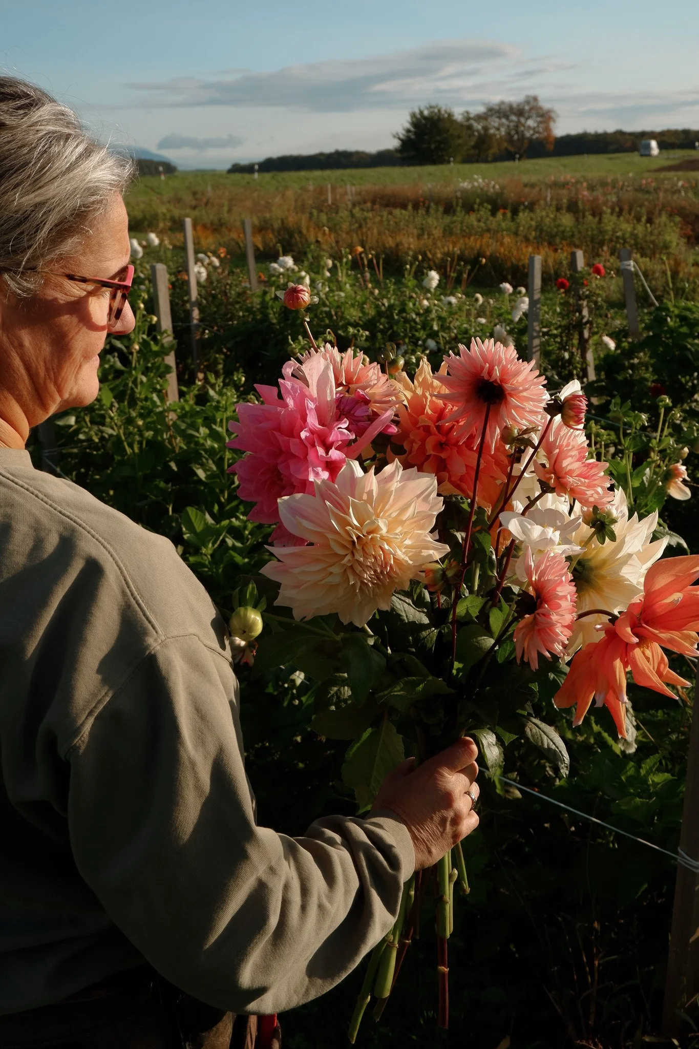 DSCF9121.jpg (copie)