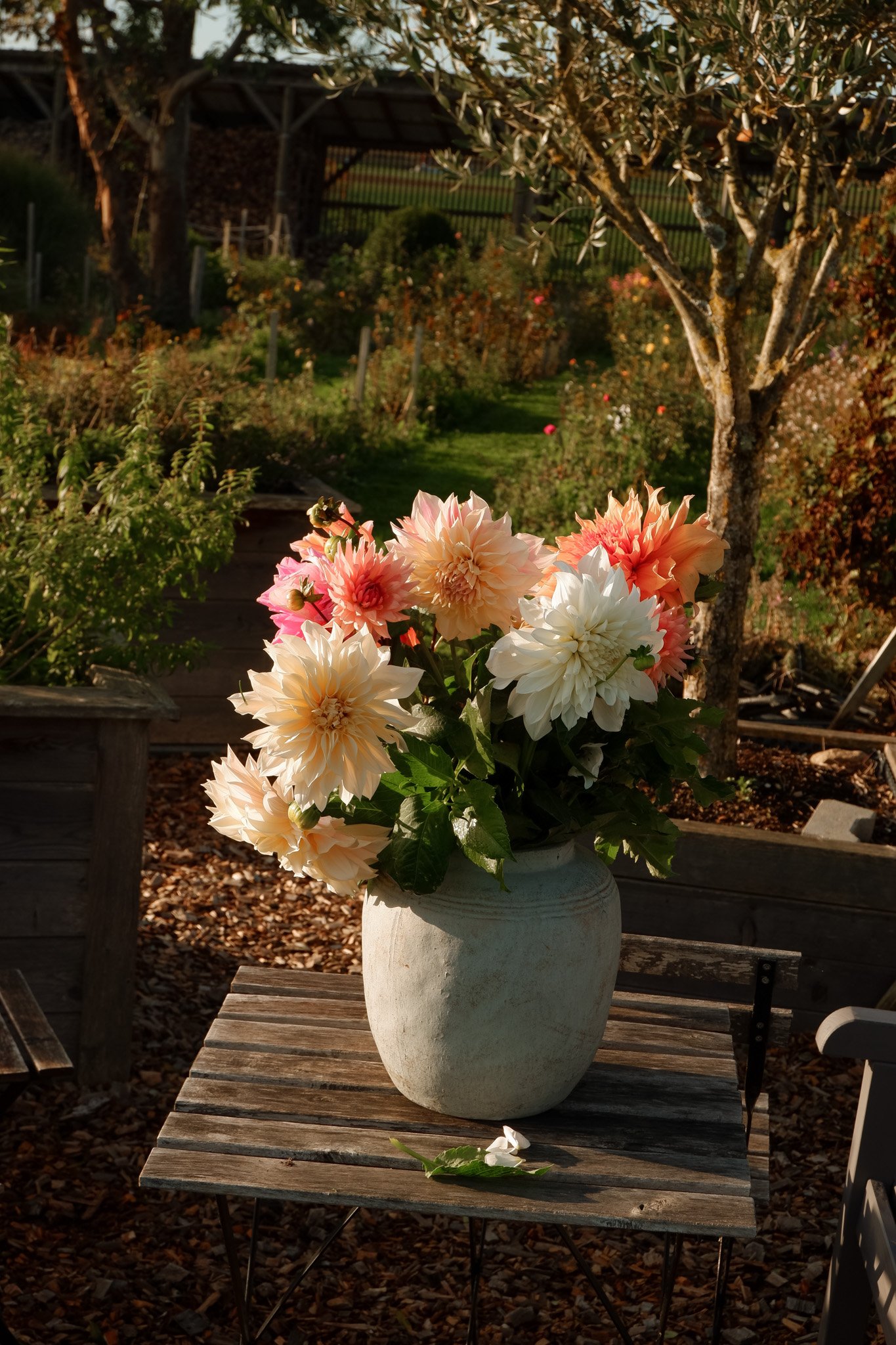 DSCF8965.jpg (copie)