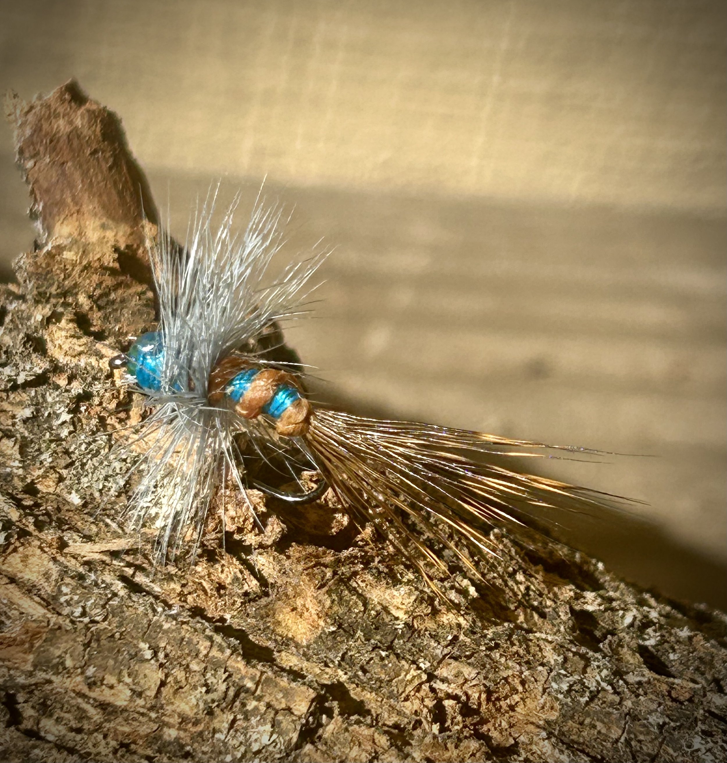 IMG_6355.jpg