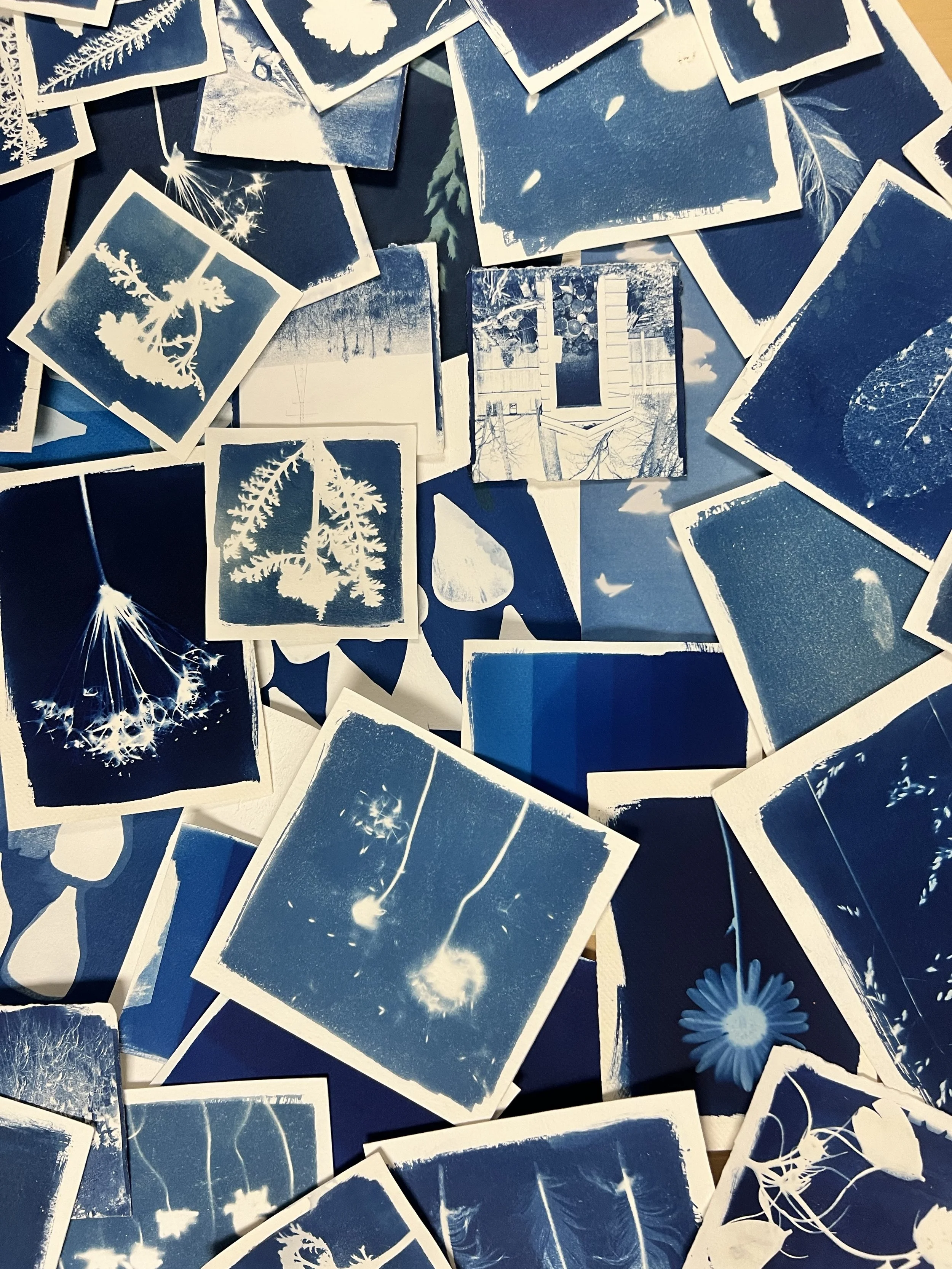 Cyanotype Printing Workshop