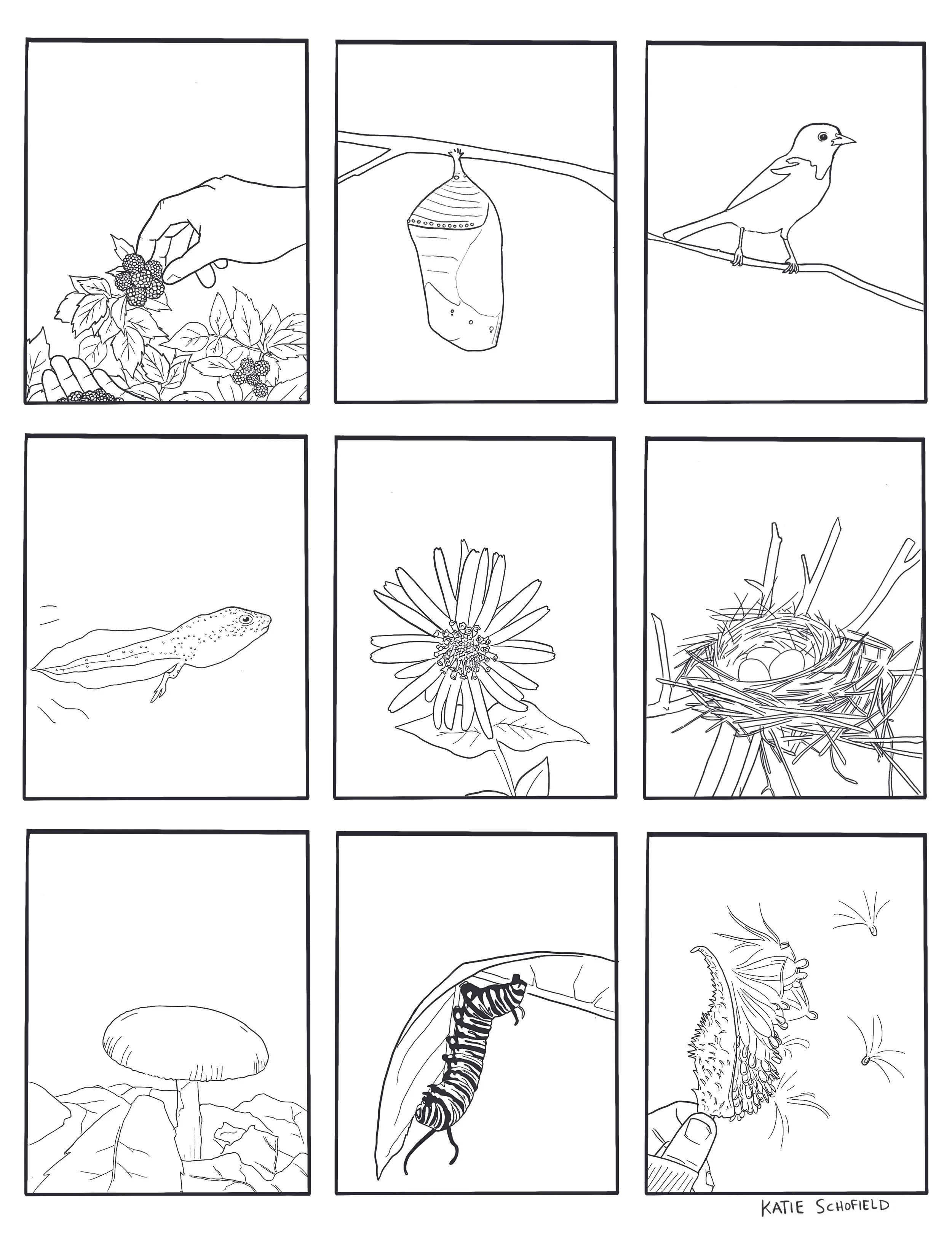 Nature by Katie Schofield