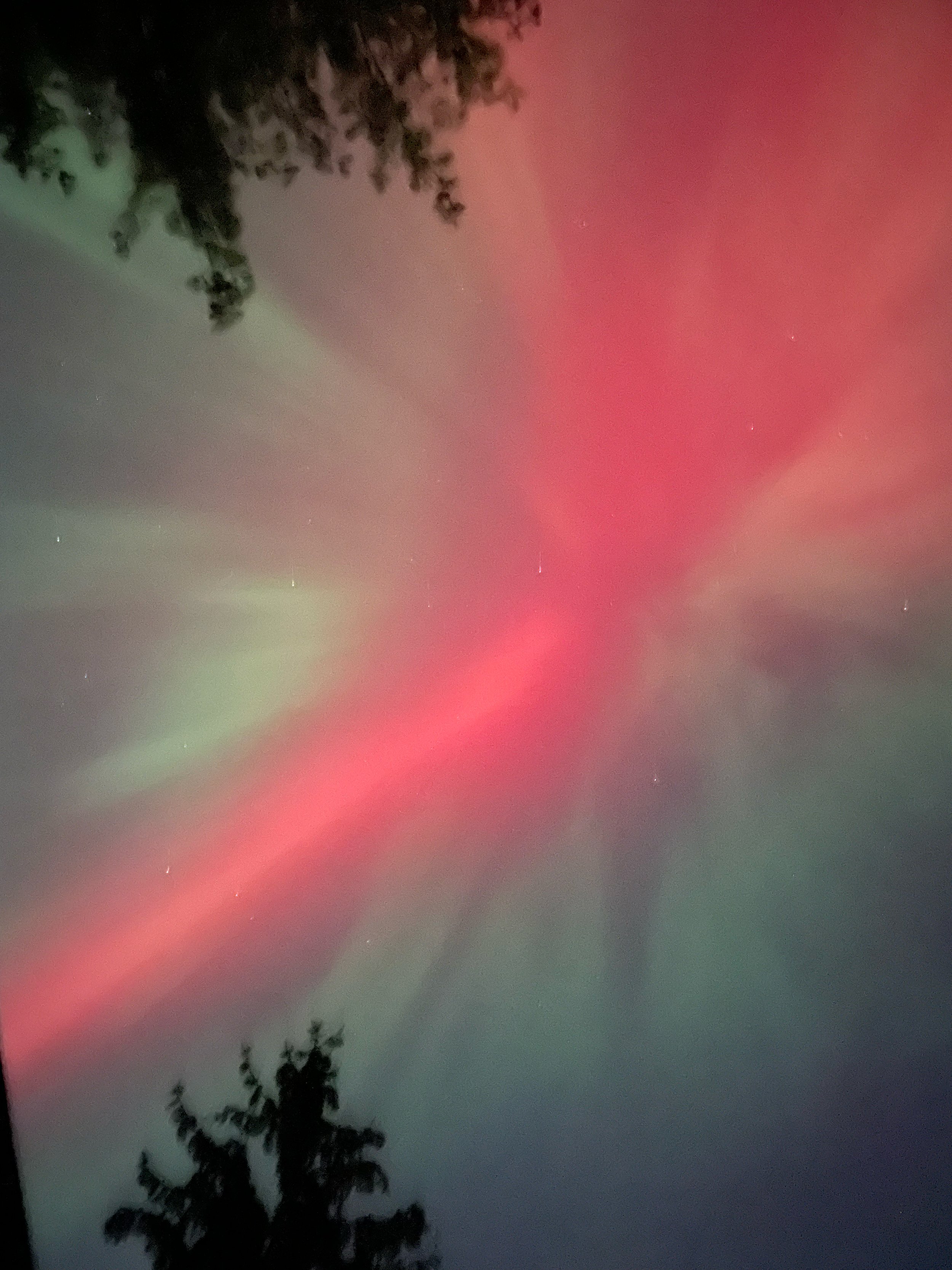 the Northern Lights