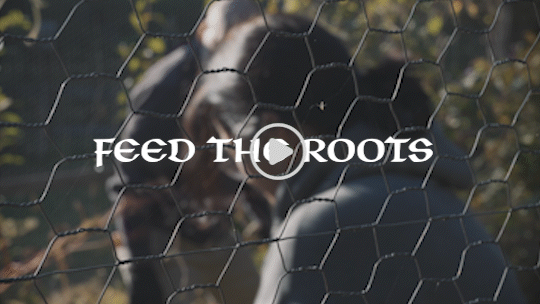 May 2022 Eddie_8.gif